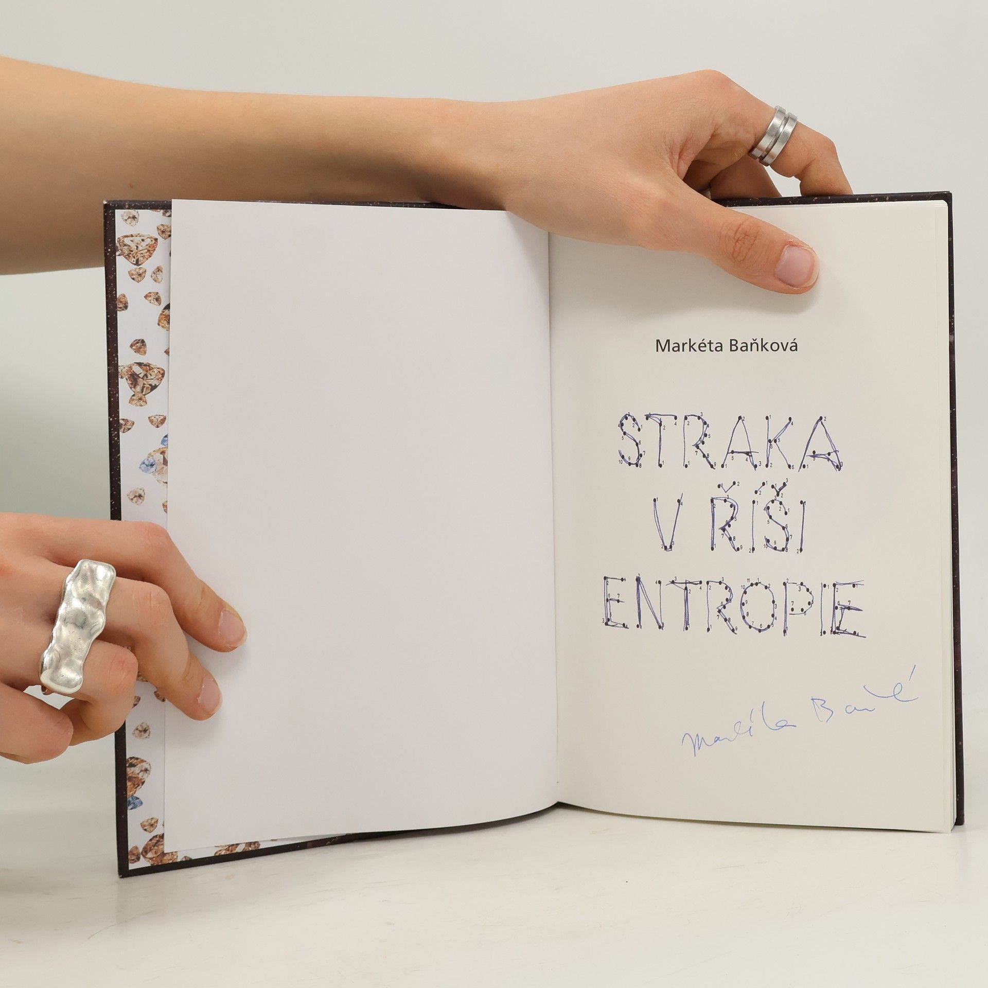 Markéta Baňková Straka v říši entropie