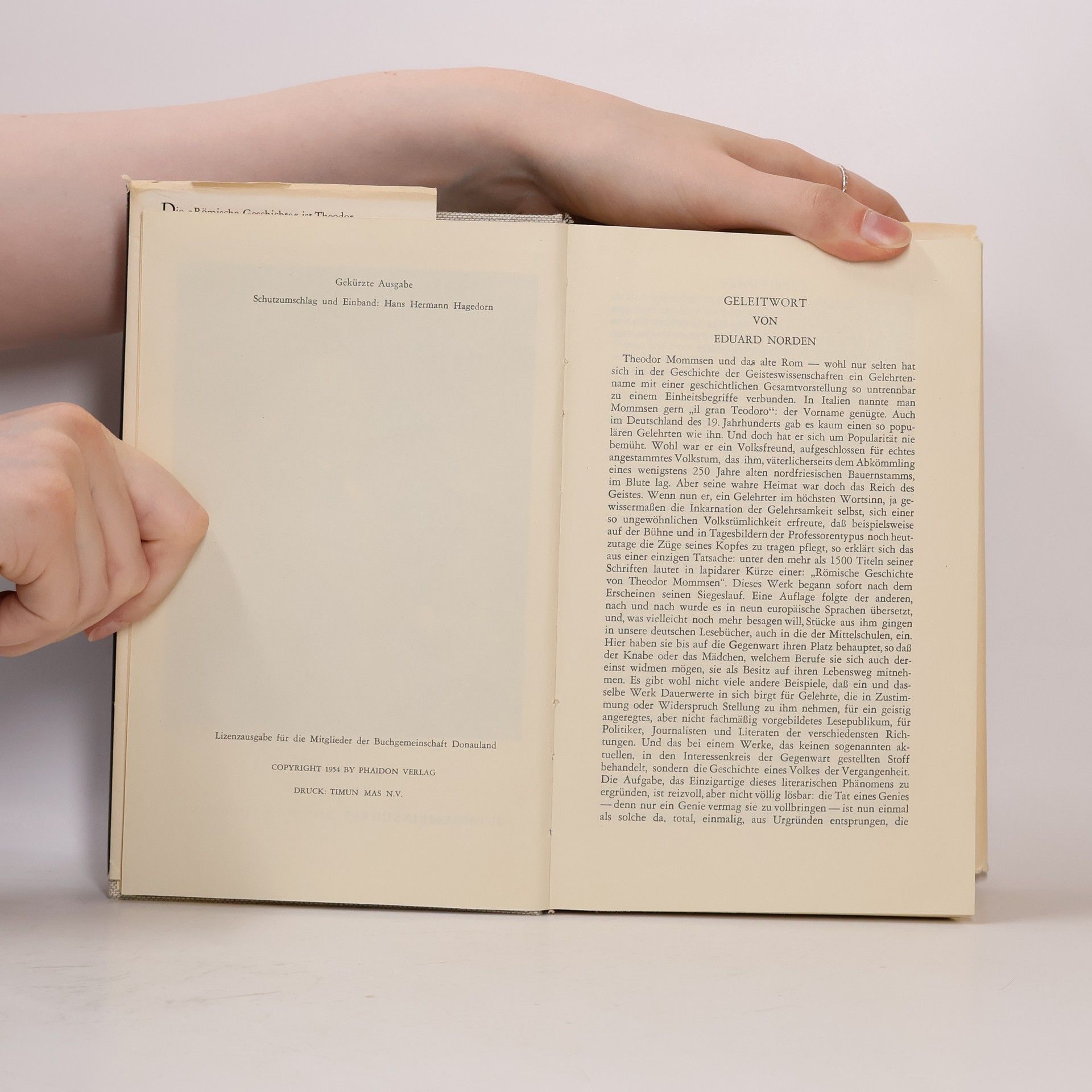 Theodor Mommsen Römische Geschichte