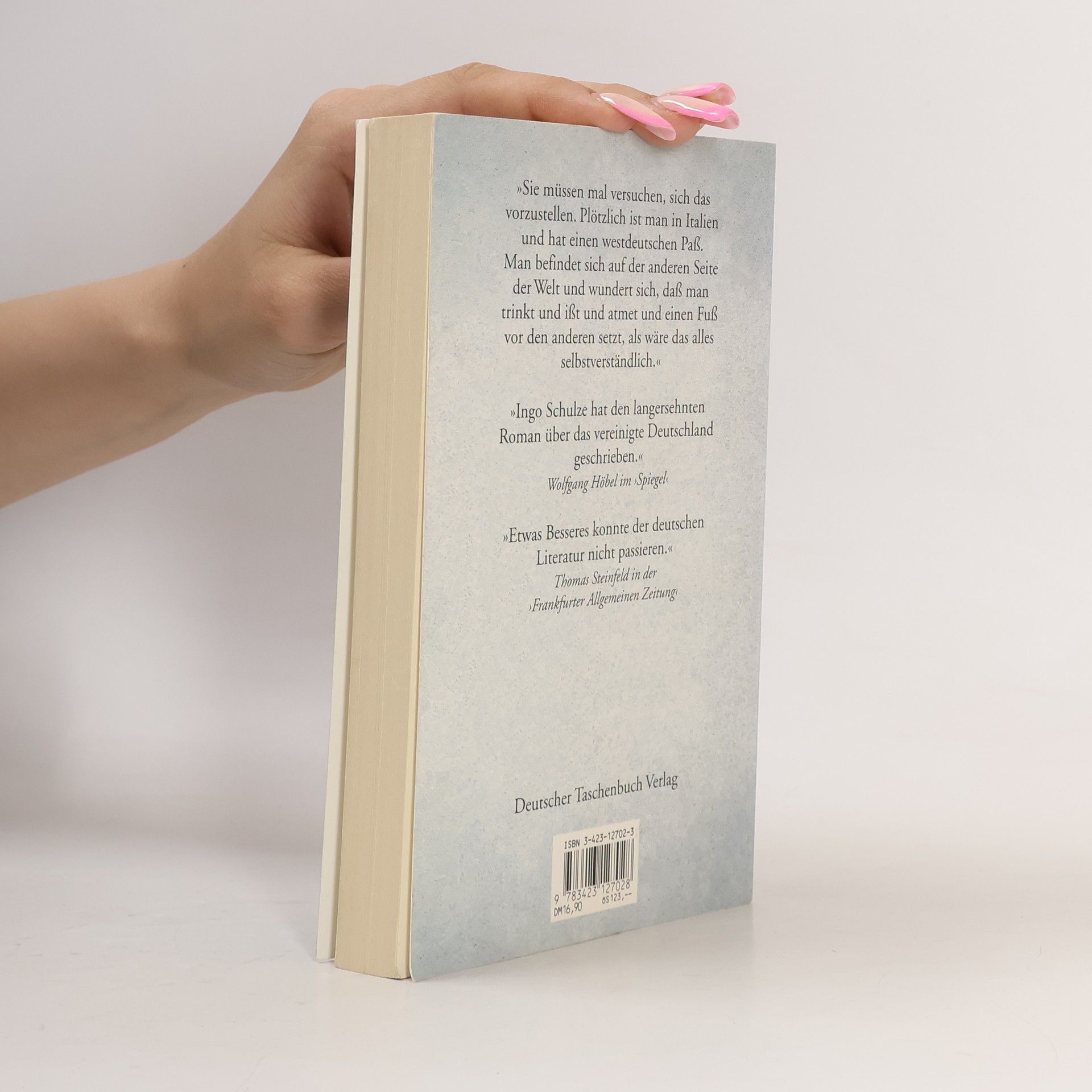 Ingo Schulze Simple Storys