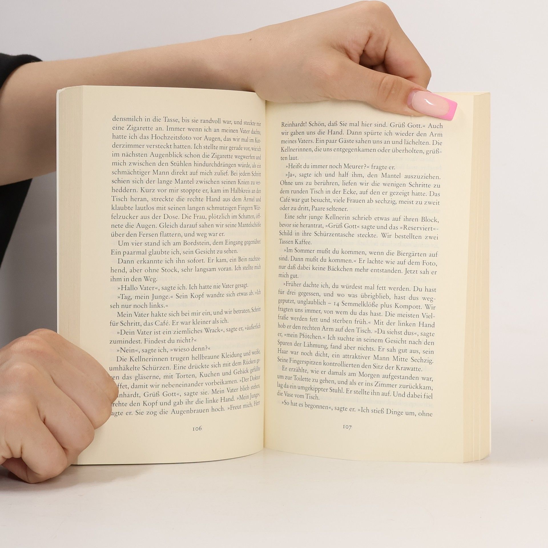 Ingo Schulze Simple Storys
