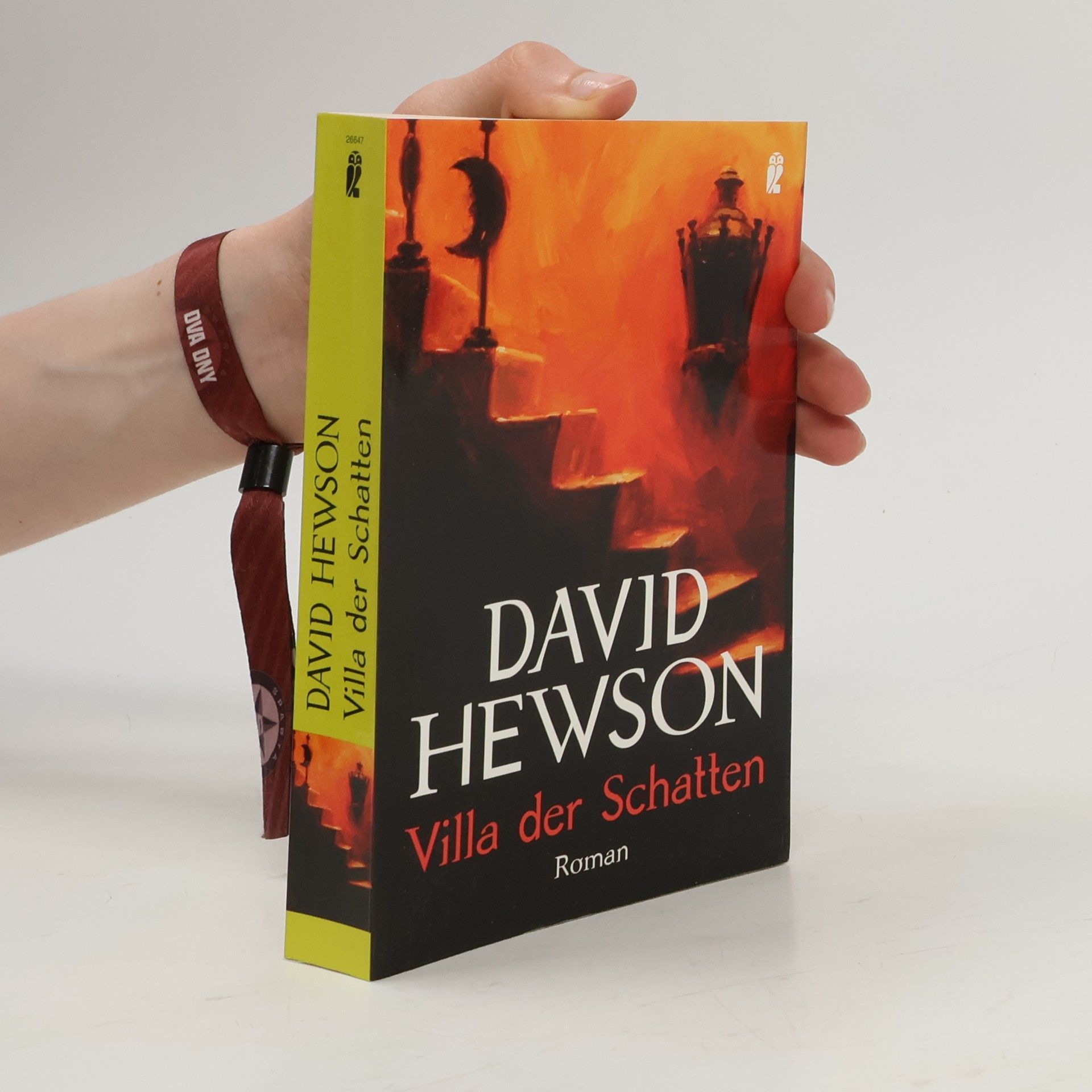 David Hewson Villa der Schatten. Roman