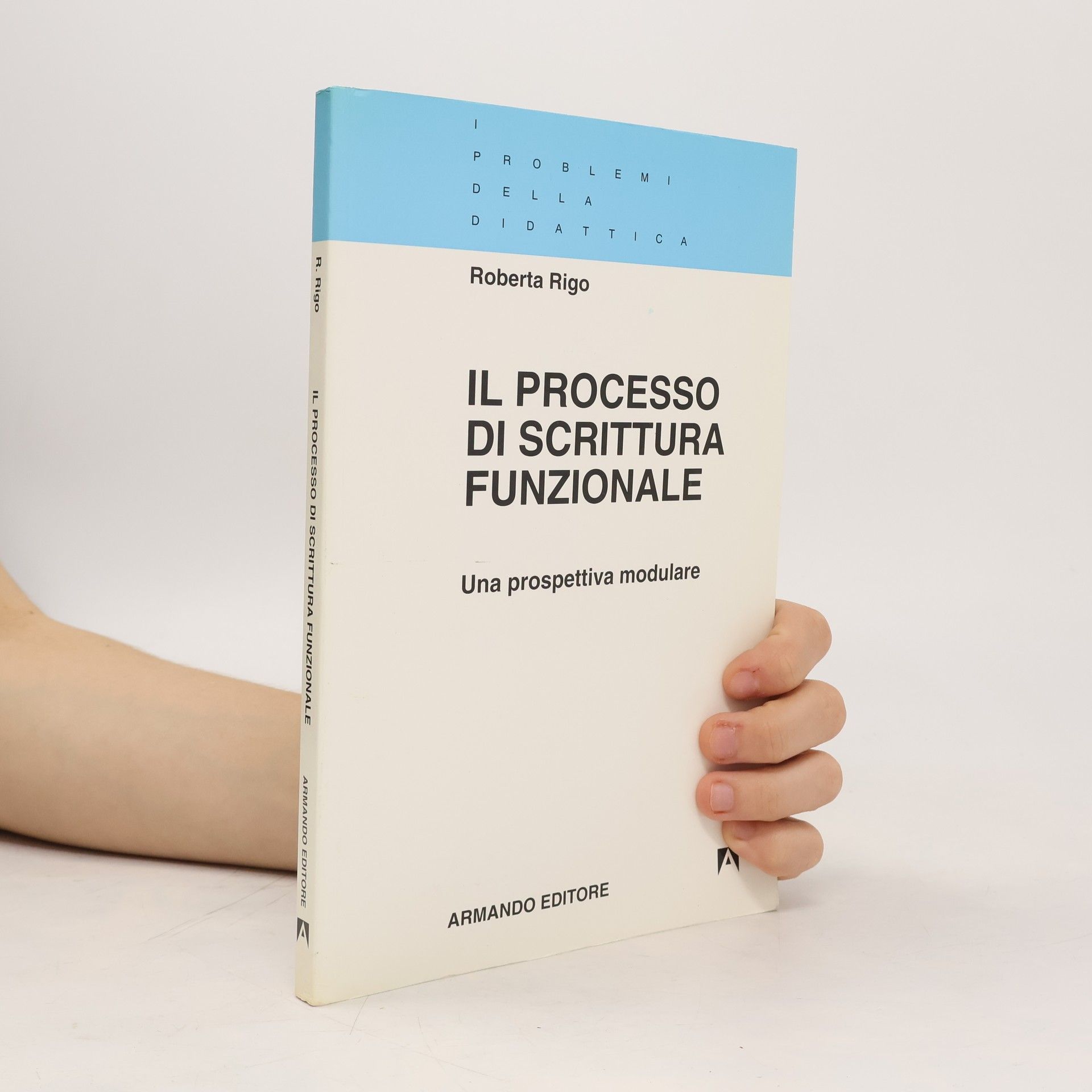 Roberta Rigo I problemi della didattica: Il processo di scrittura funzionale. Una prospettiva modulare