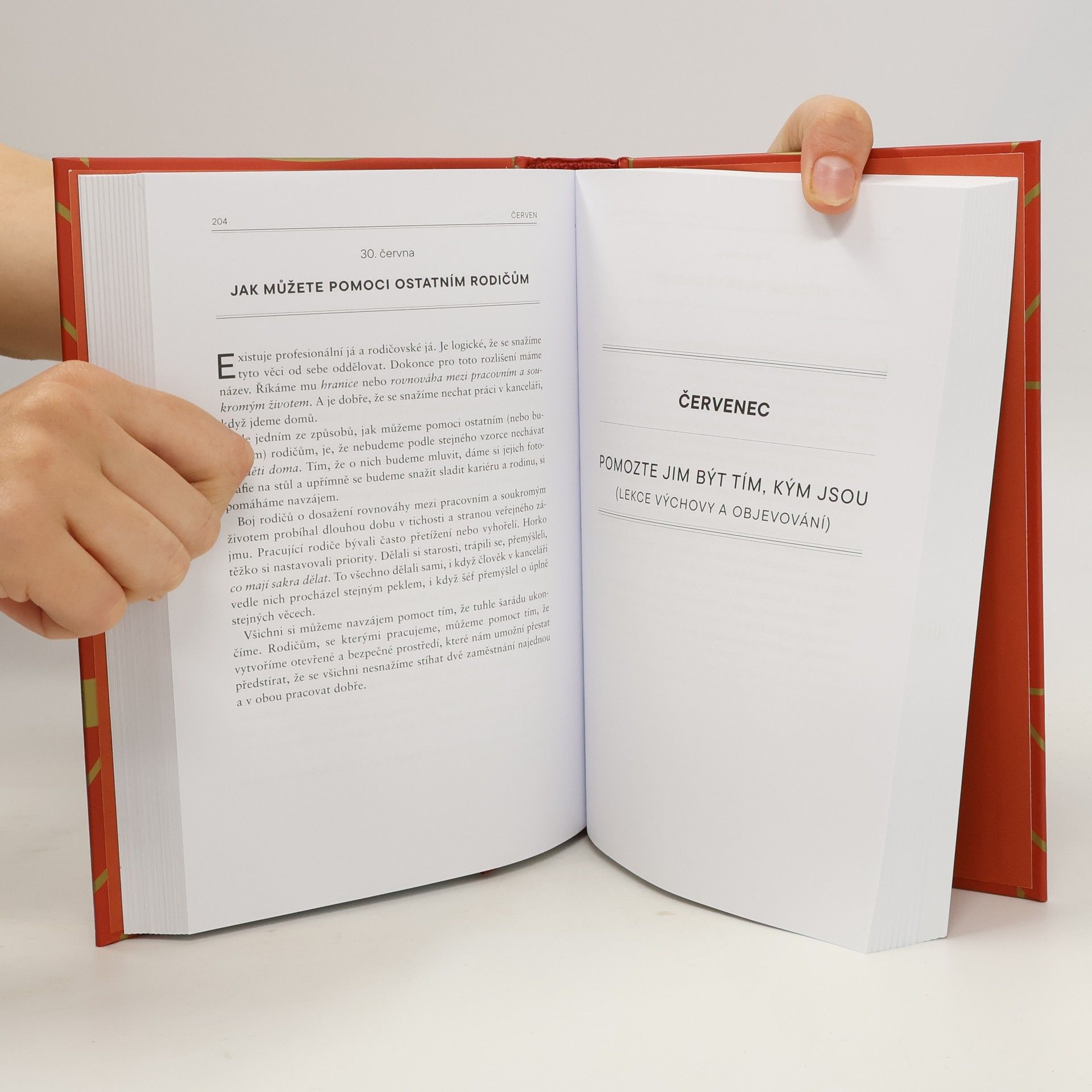 Ryan Holiday Tátou každý den - 366 zamyšlení o rodičovství, výchově a lásce k dětem