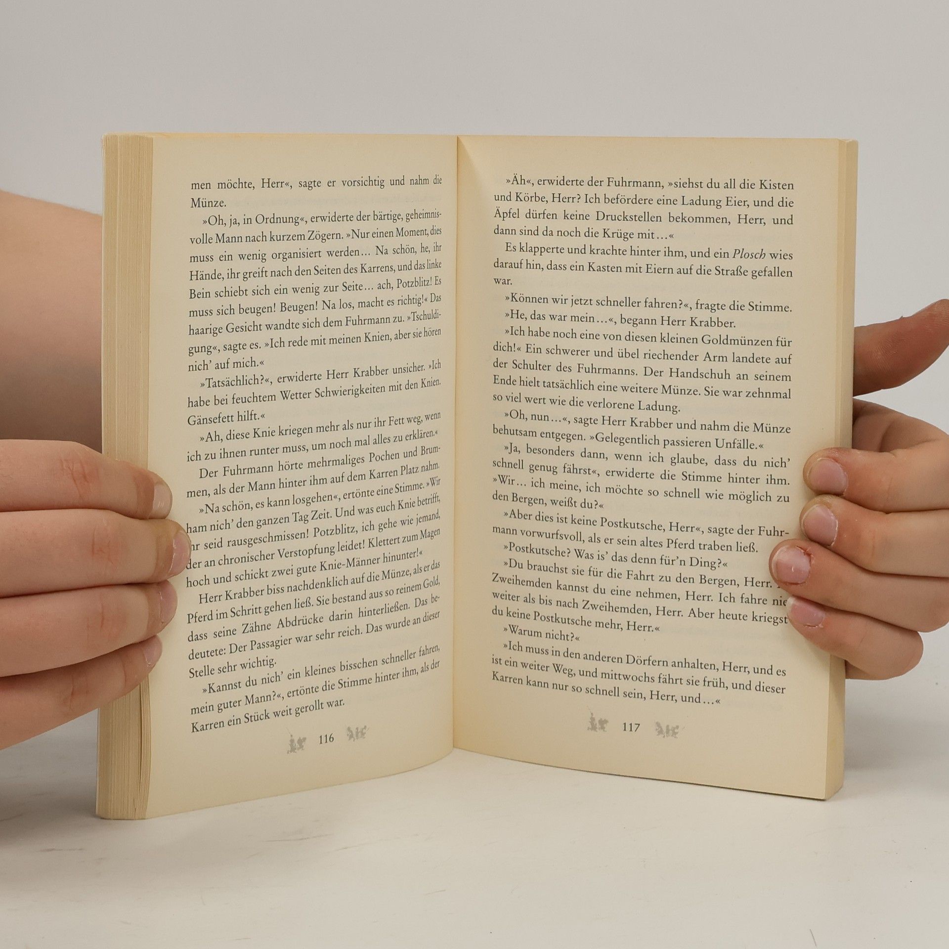 Terry Pratchett Ein Hut voller Sterne