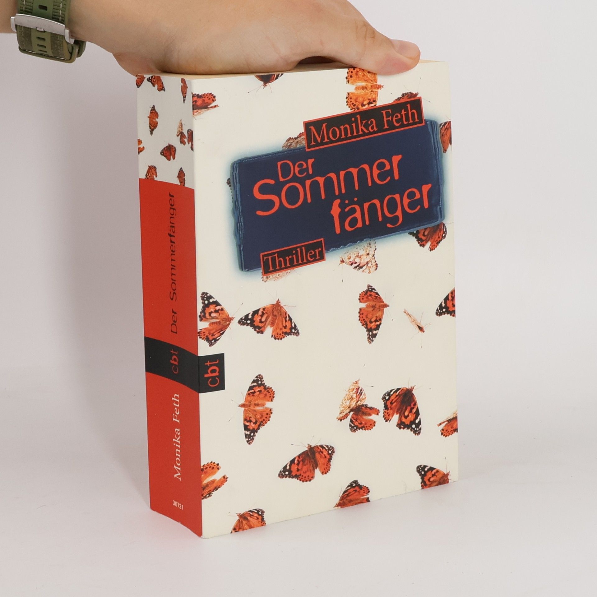 Monika Feth Der Sommerfänger