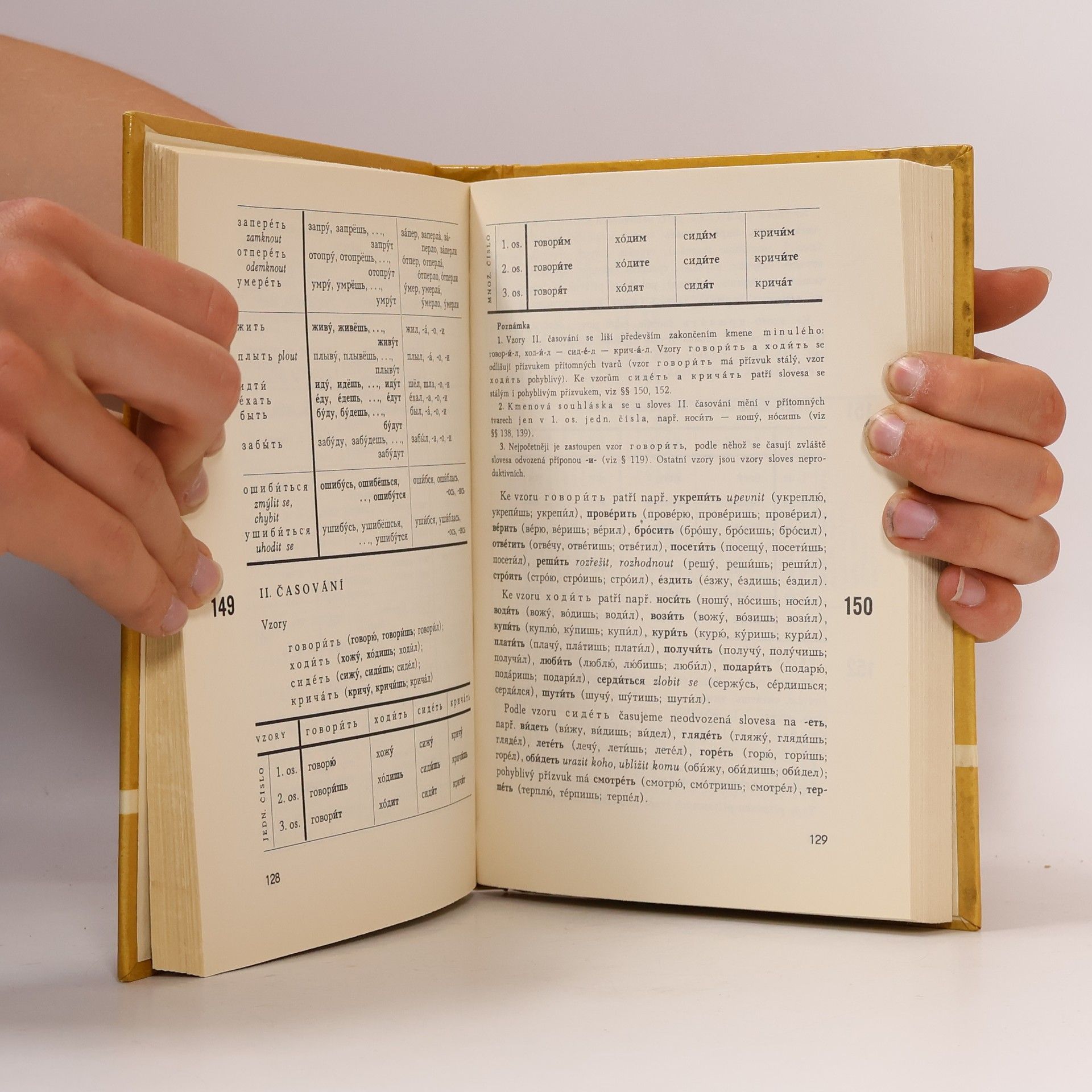 Various authors Školní mluvnice ruského jazyka