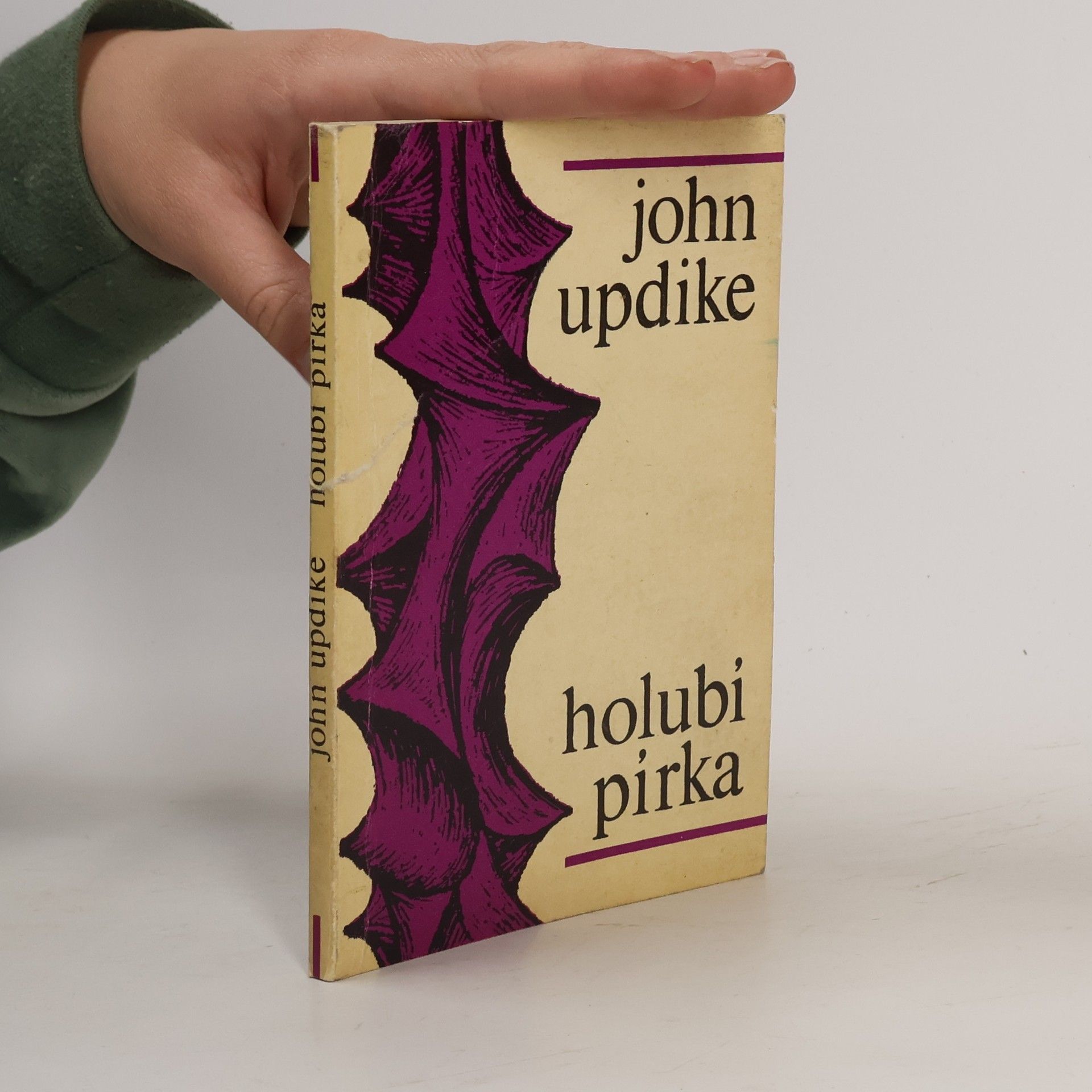 John Updike Holubí pírka