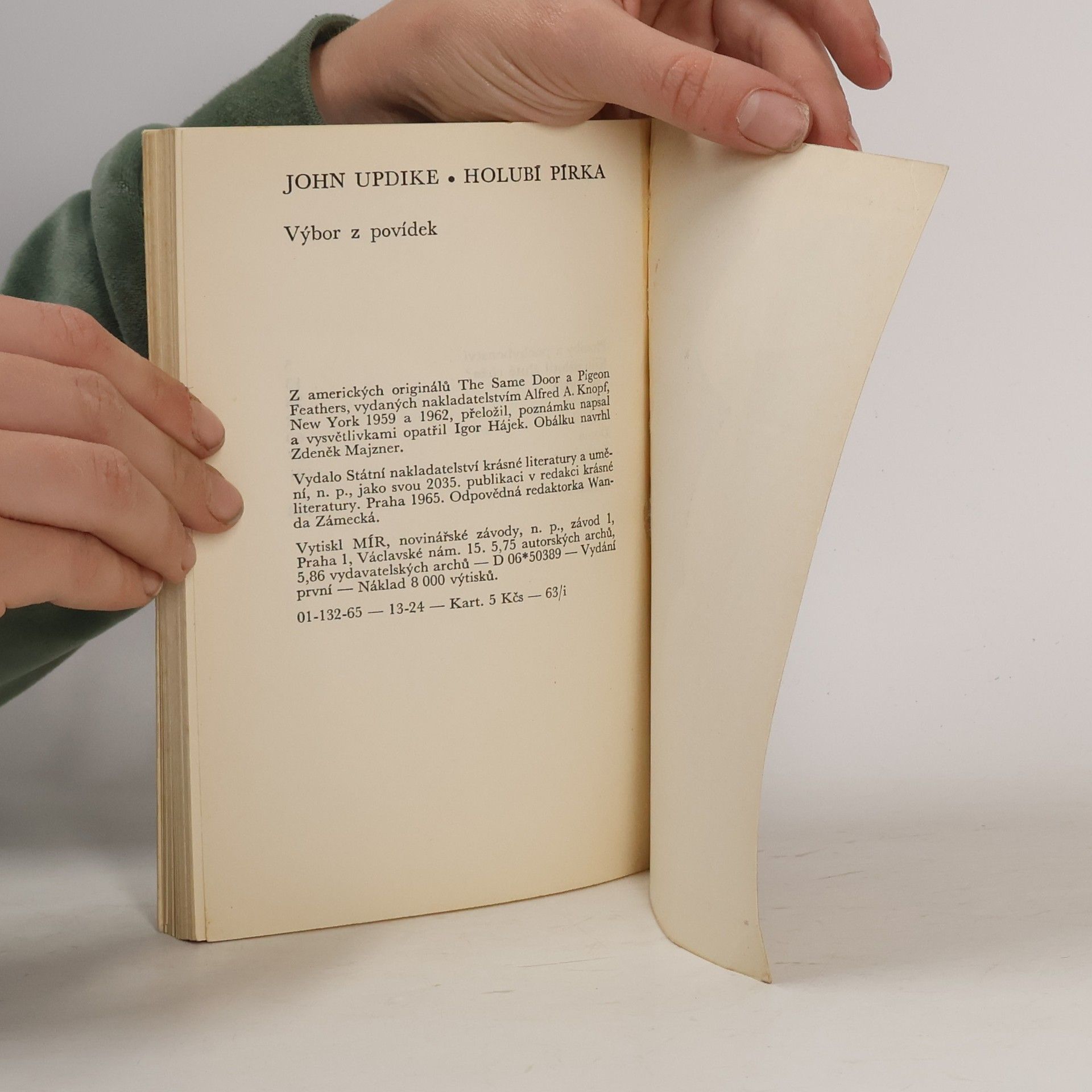 John Updike Holubí pírka