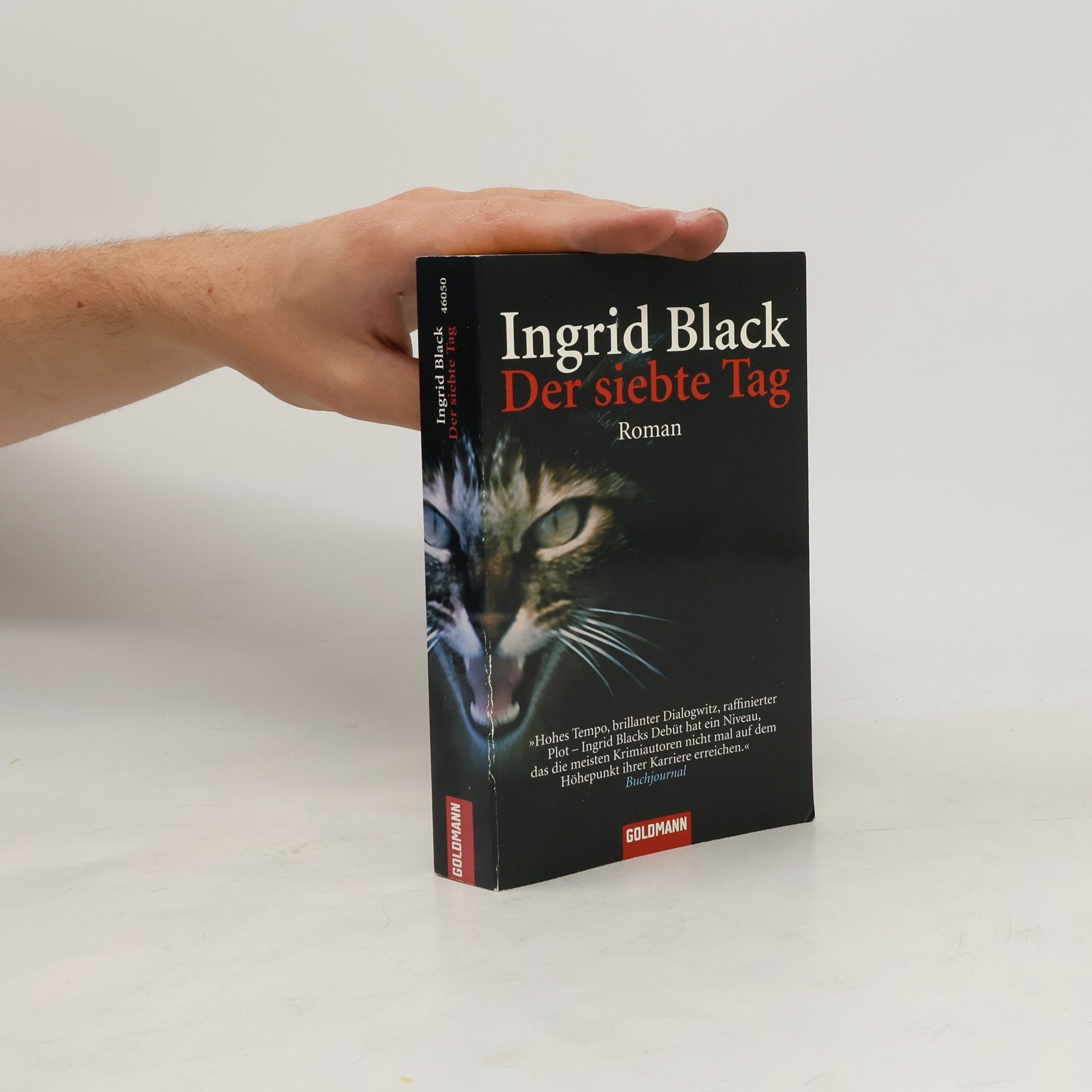 Ingrid Black Der siebte Tag