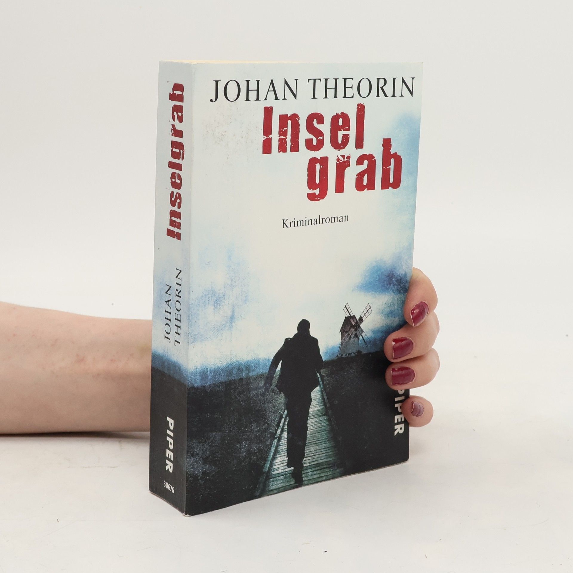 Johan Theorin Inselgrab
