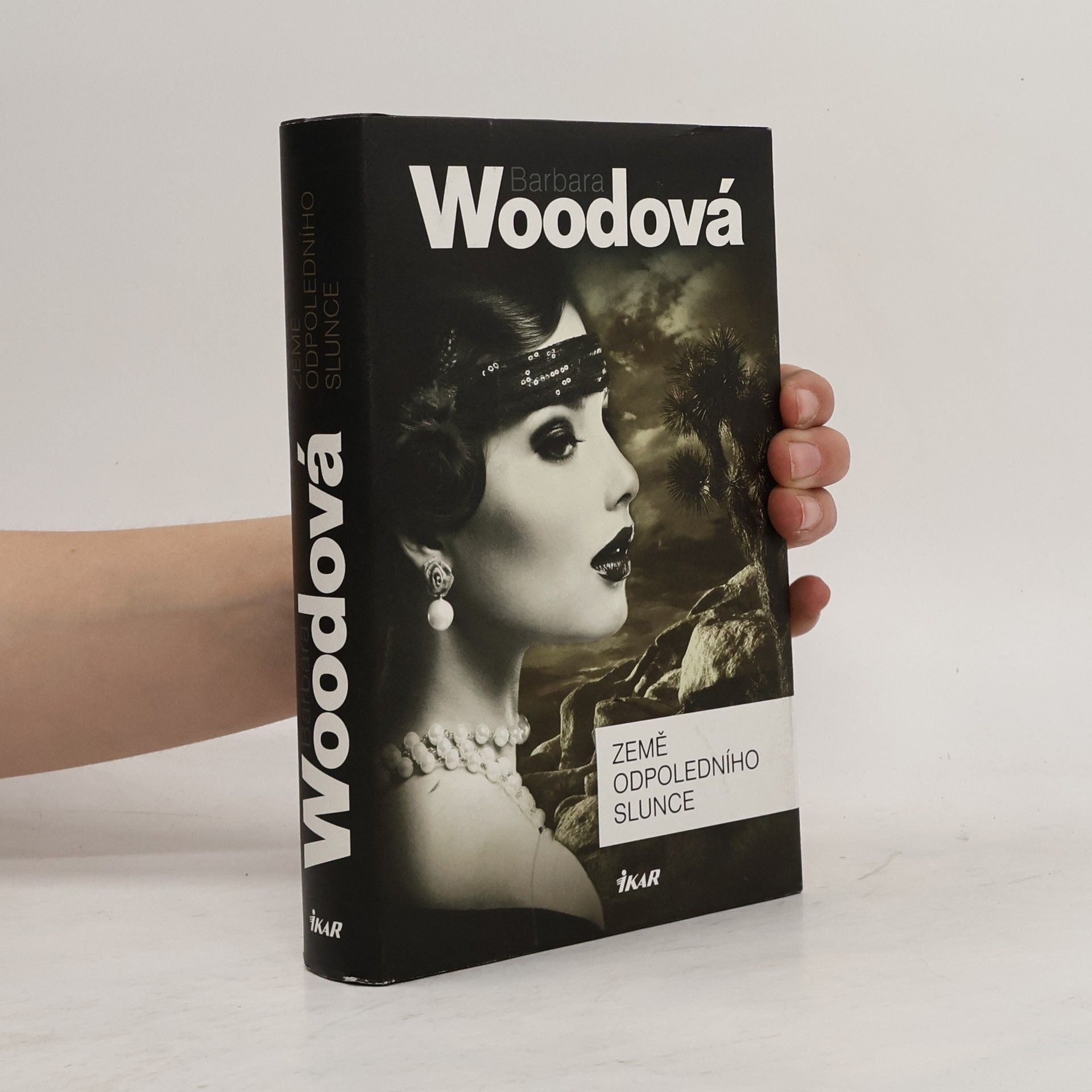 Barbara Wood Země odpoledního slunce