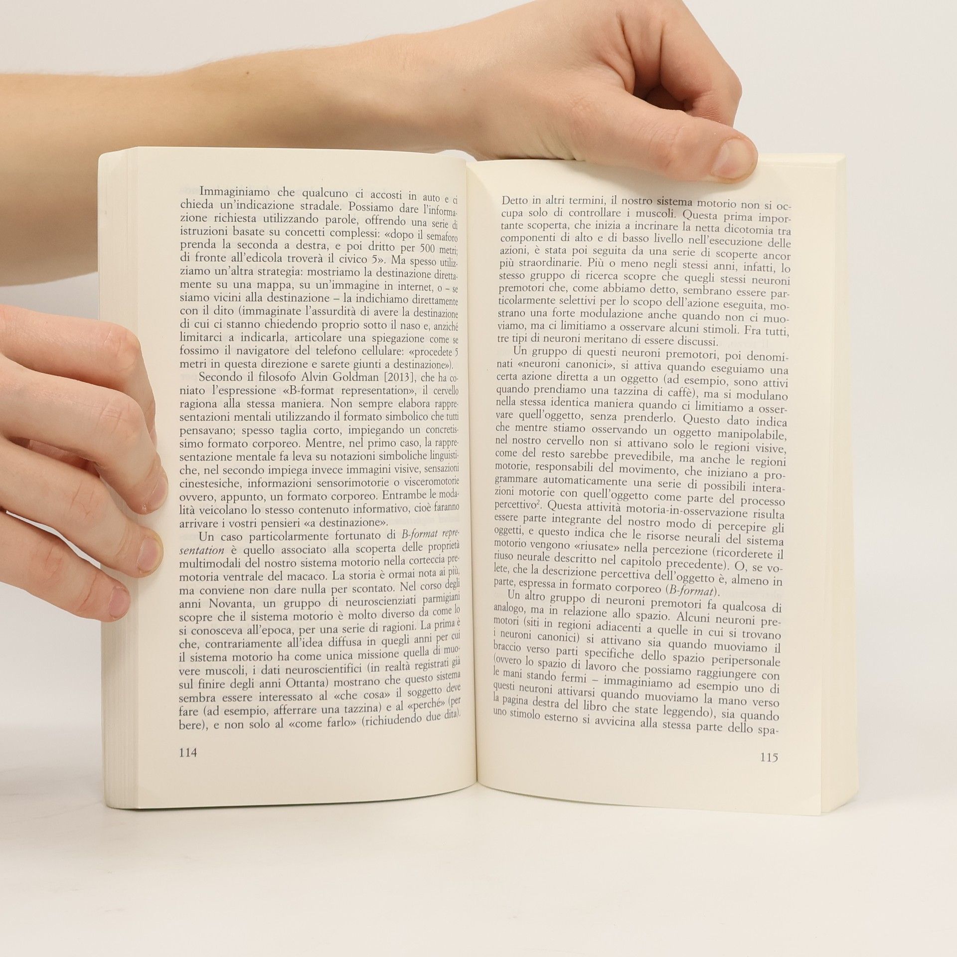 Fausto Caruana Universale Paperbacks: Come funzionano le emozioni