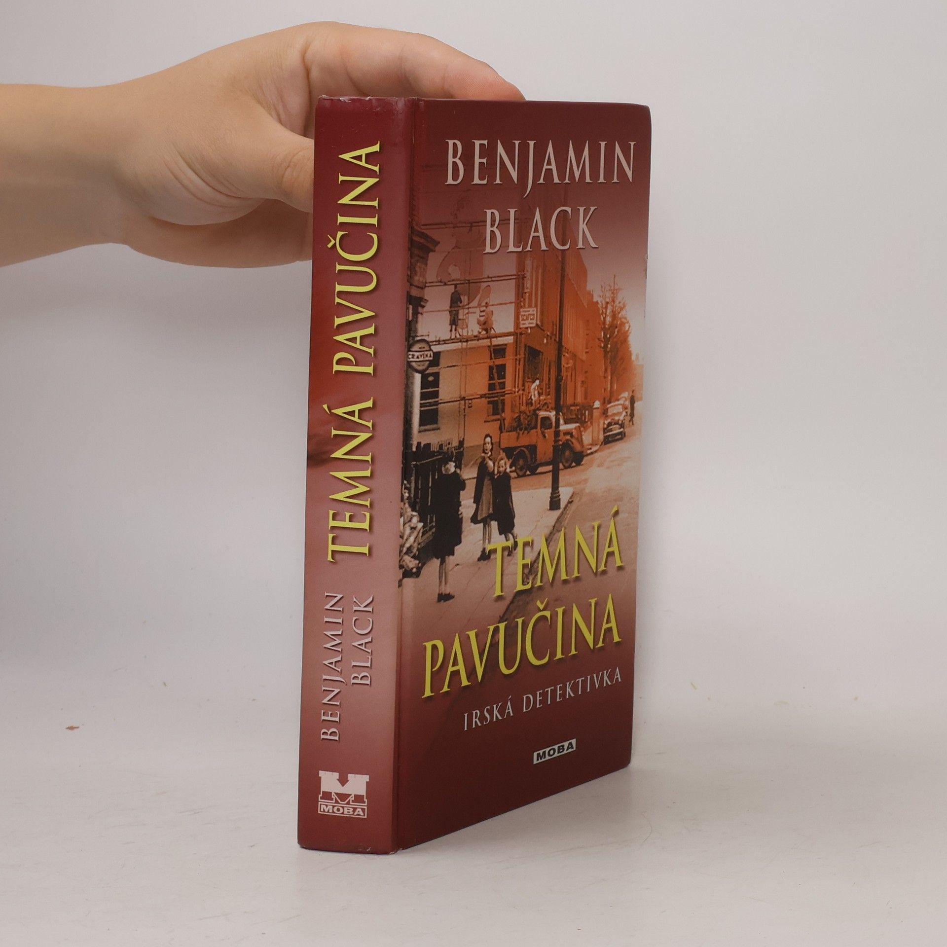 John Banville Temná pavučina