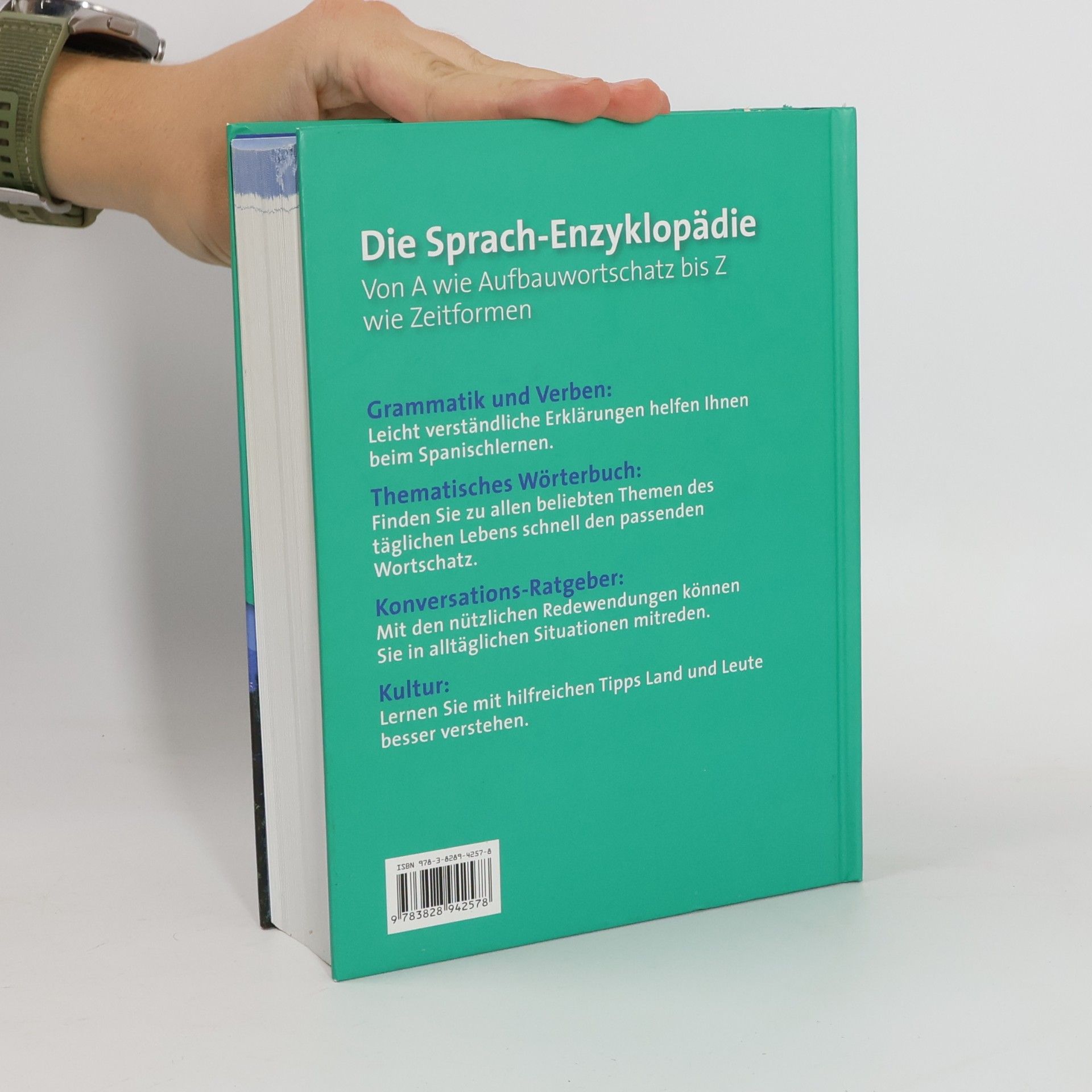 Das große Handbuch Spanisch