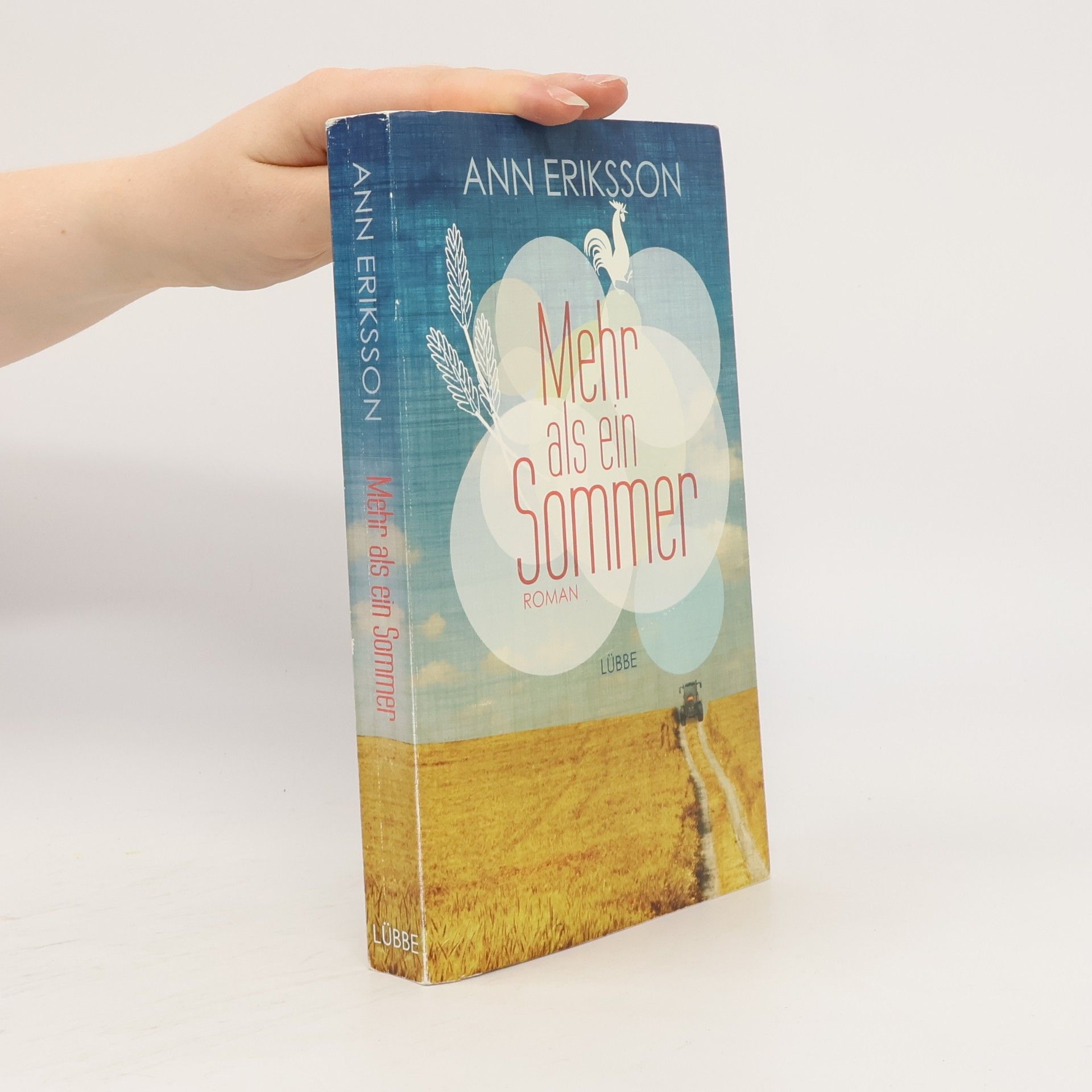 Ann Eriksson Mehr als ein Sommer
