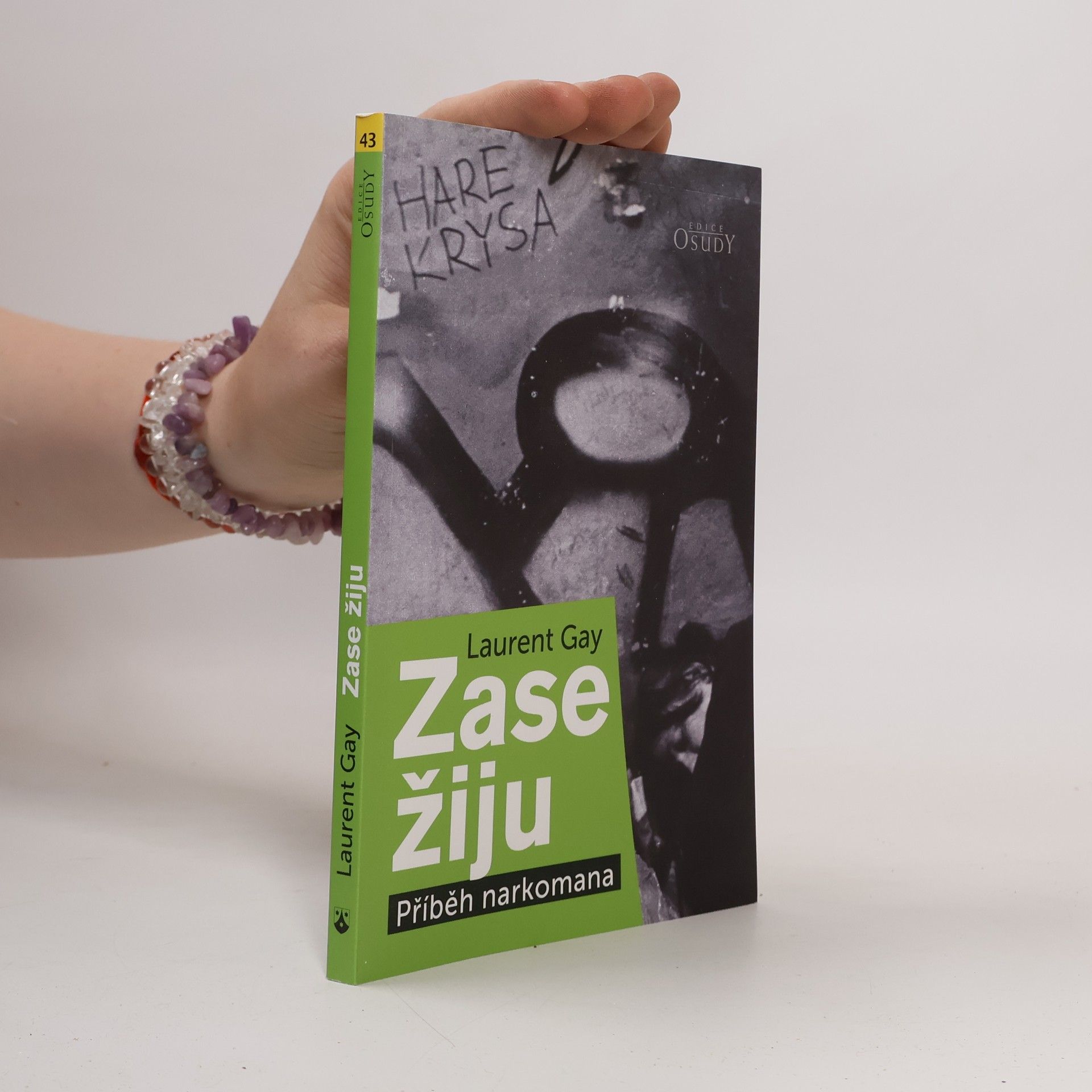 Laurent Gay Zase žiju: Příběh narkomana