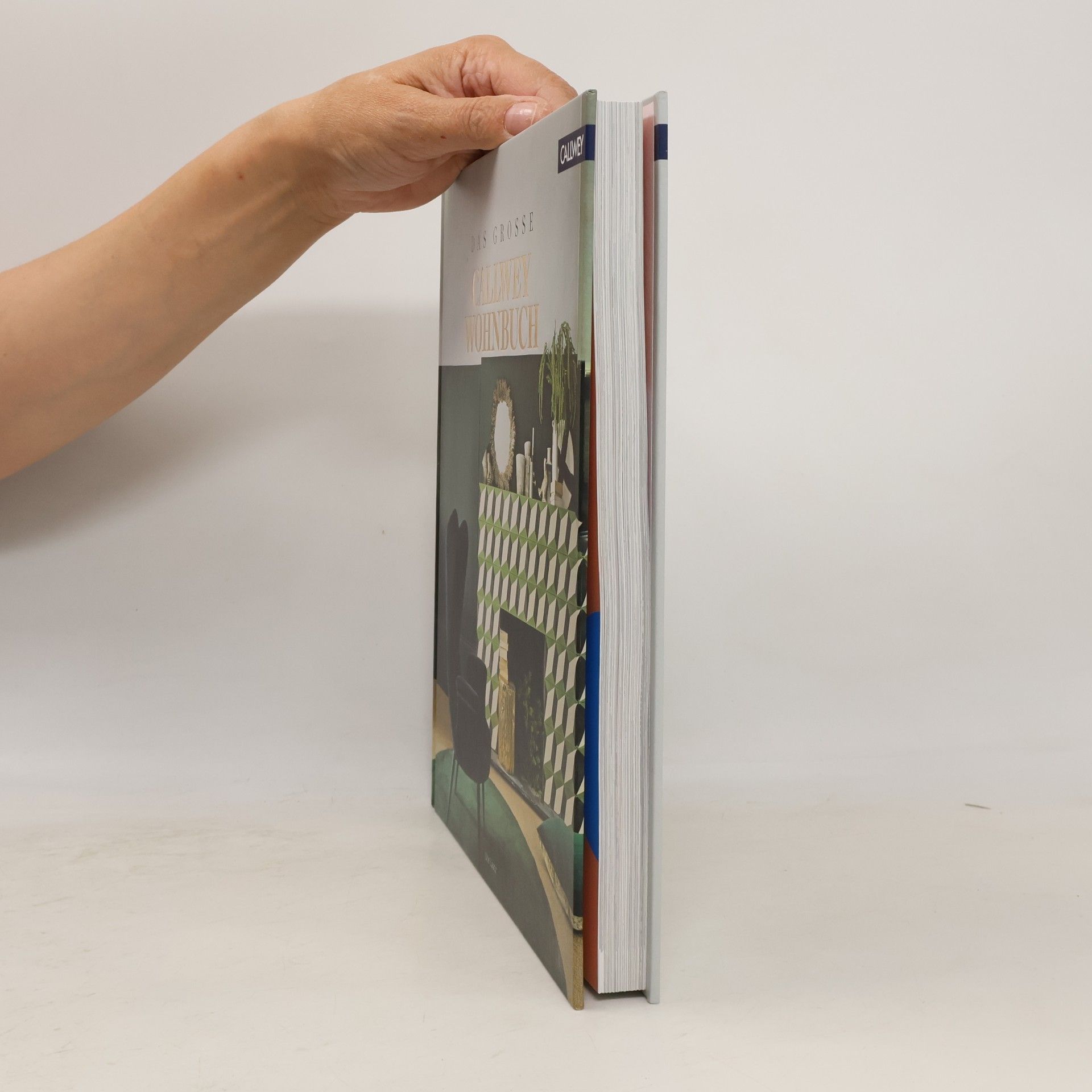 Ute Laatz DAS GROSSE CALLWEY WOHNBUCH