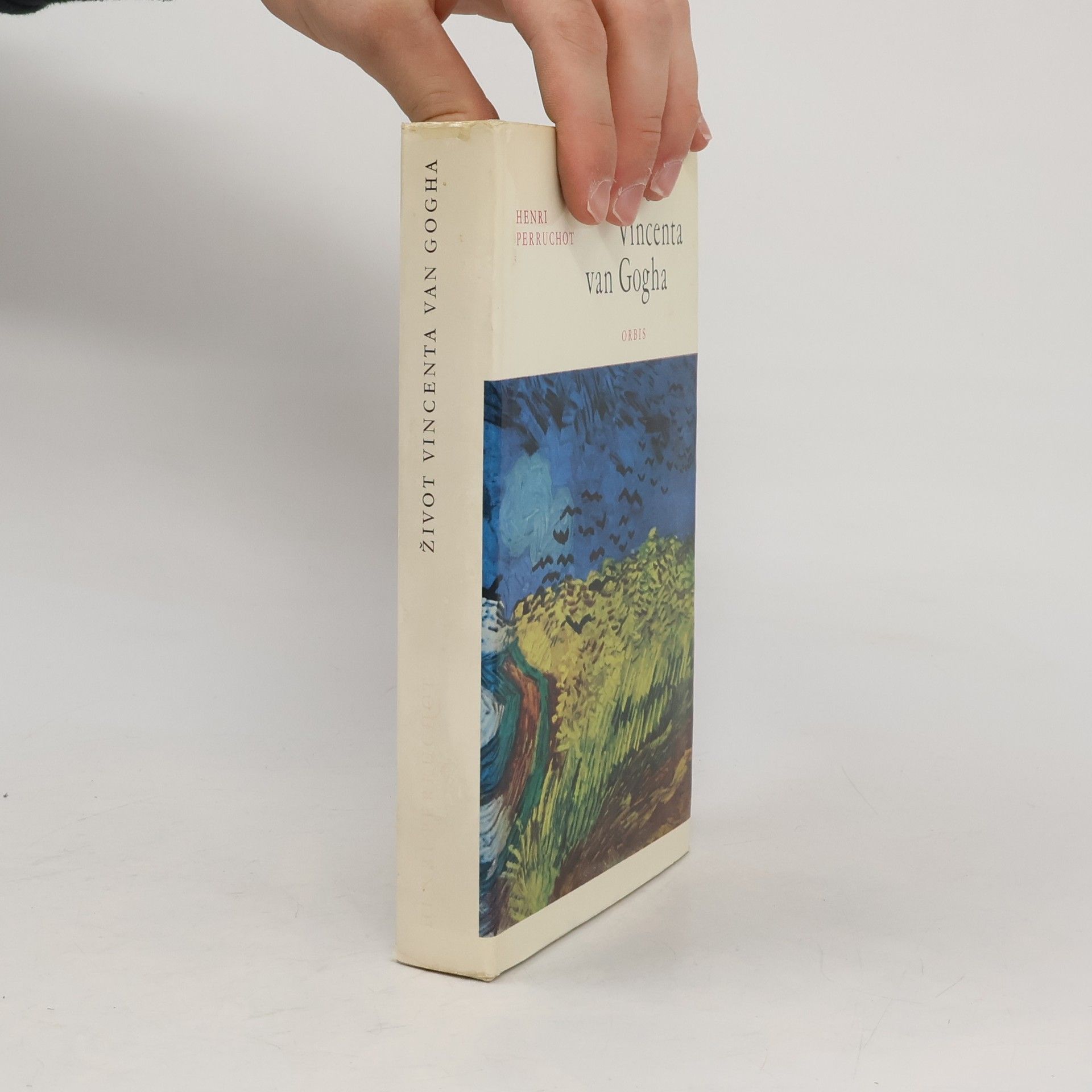 Henri Perruchot Život Vincenta van Gogha