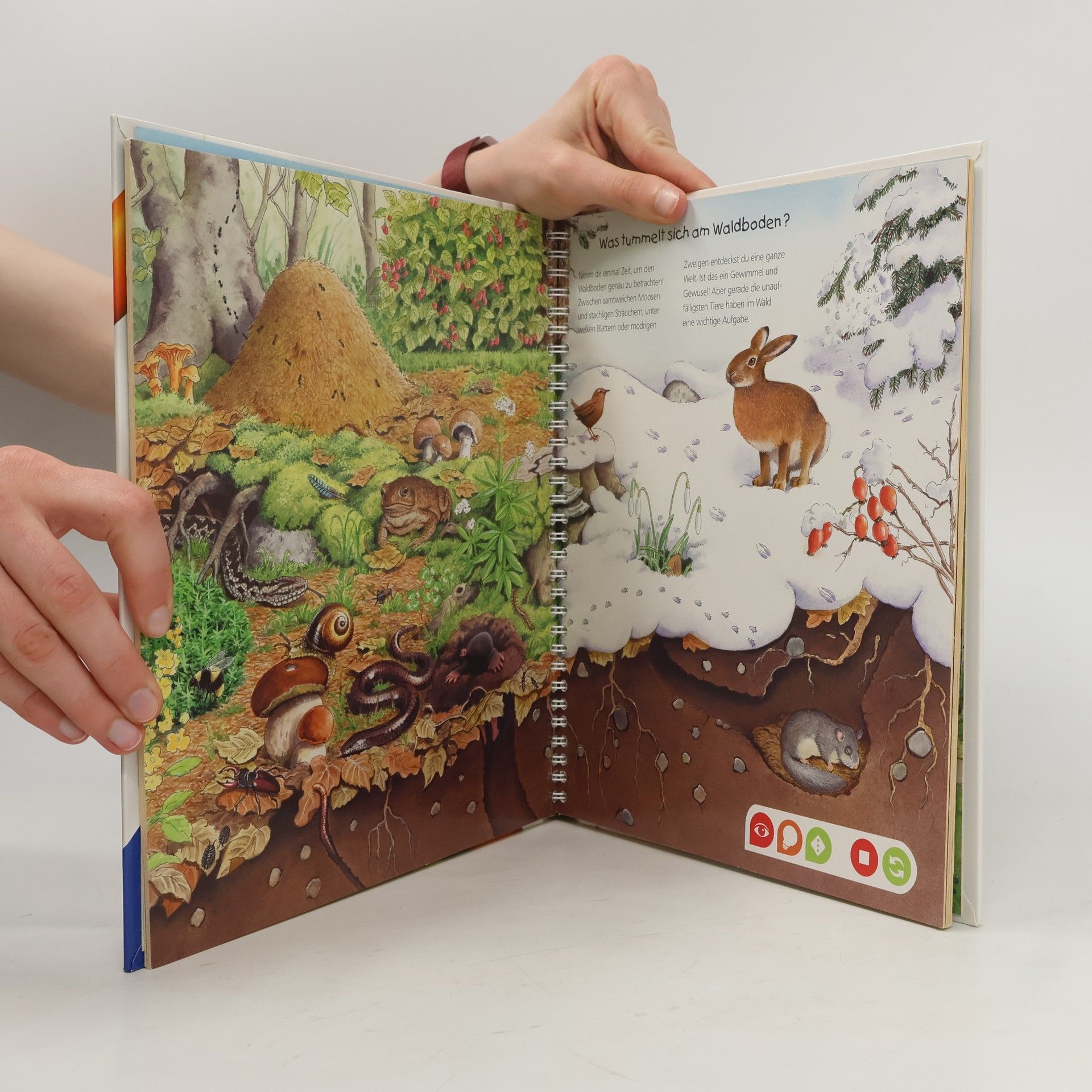Autorenkollektiv Komm mit in den Wald
