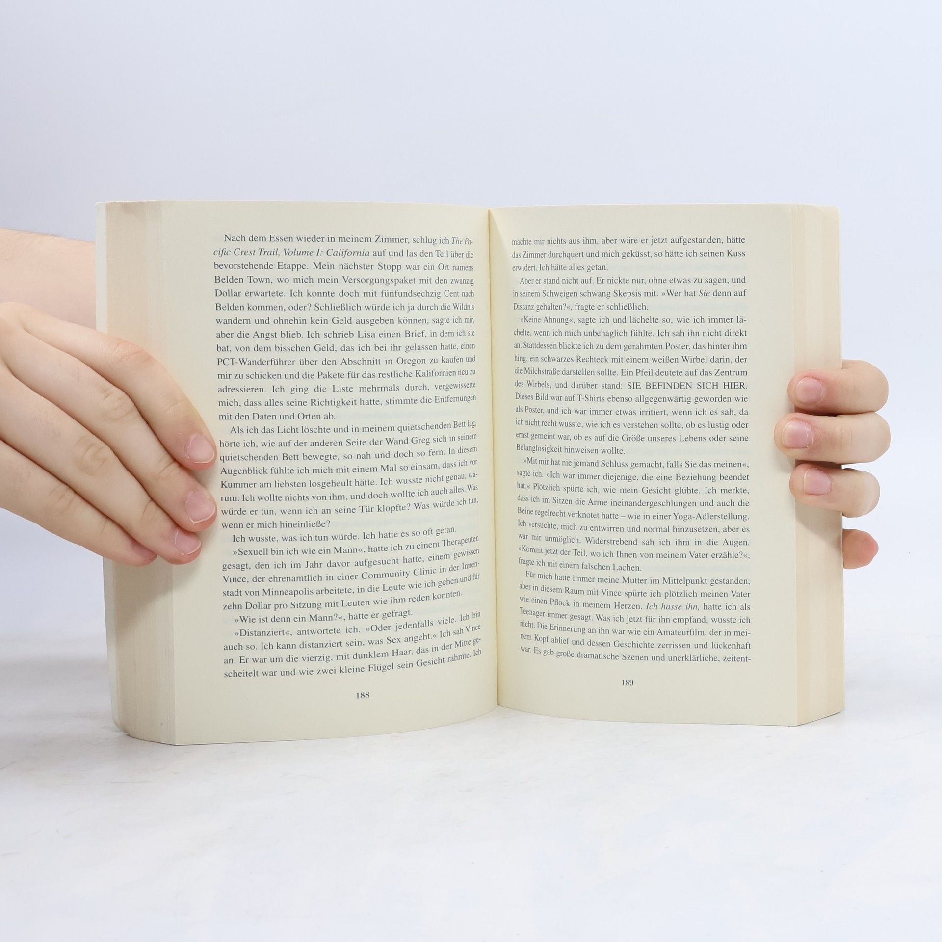 Cheryl Strayed Der große Trip - WILD