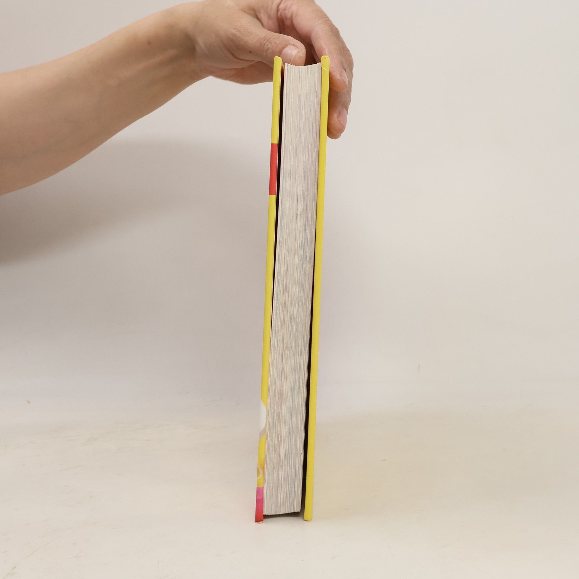 Autorenkollektiv Familien Kochbuch