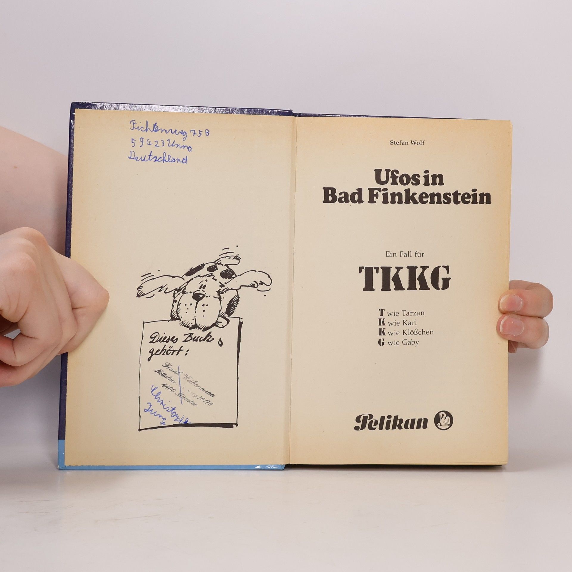 Rolf Kalmuczak Ufos in Bad Finkenstein
