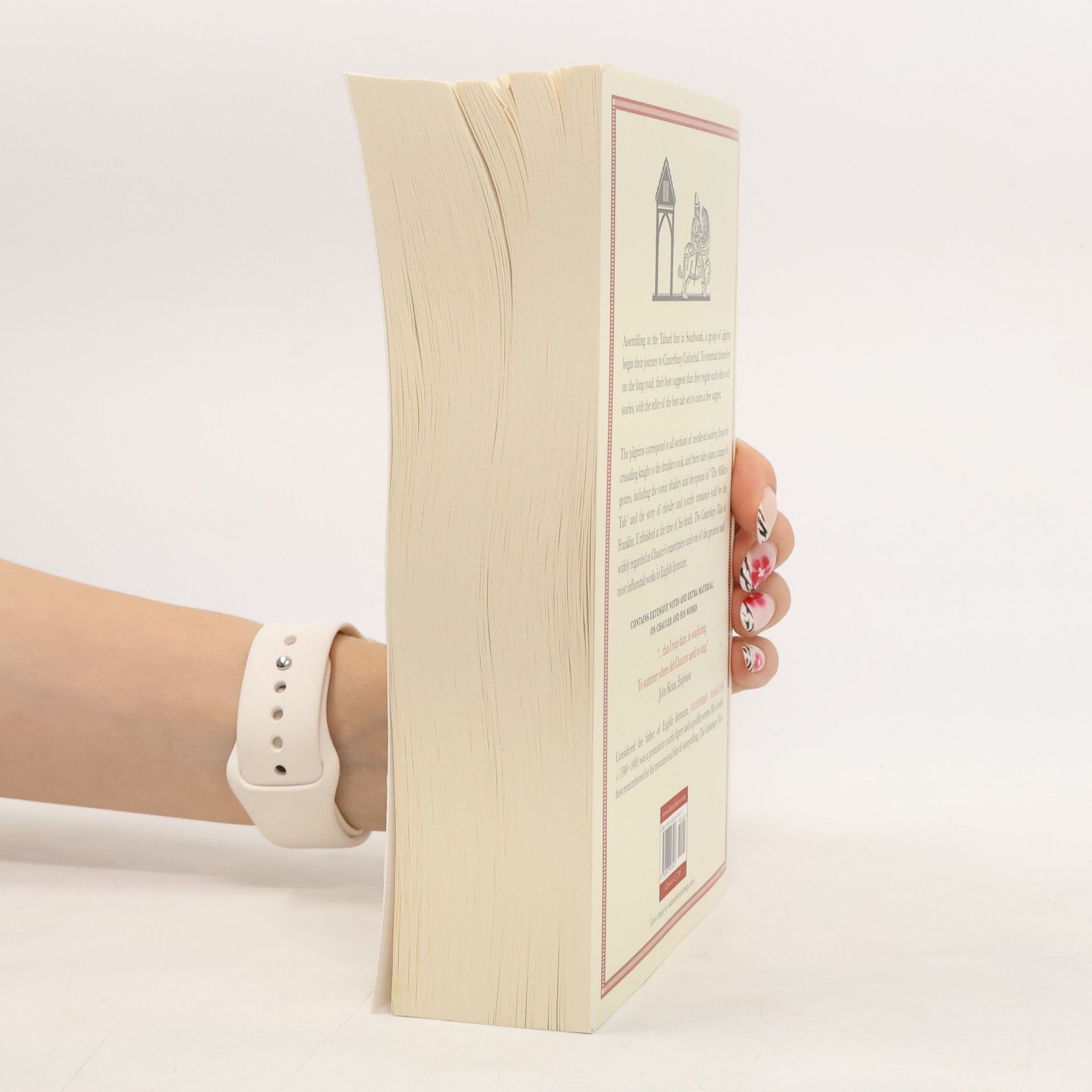 Geoffrey Chaucer The Canterbury Tales: Fully Annotated Edition