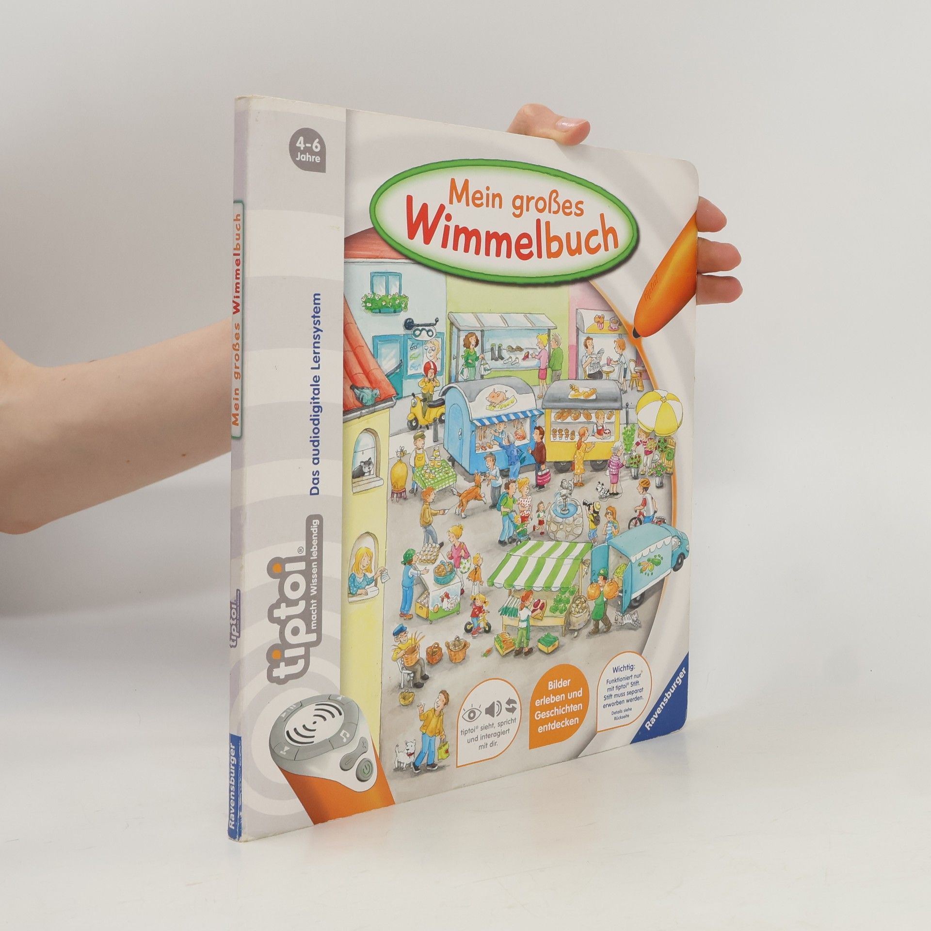 Friederike Großekettler Mein großes Wimmelbuch