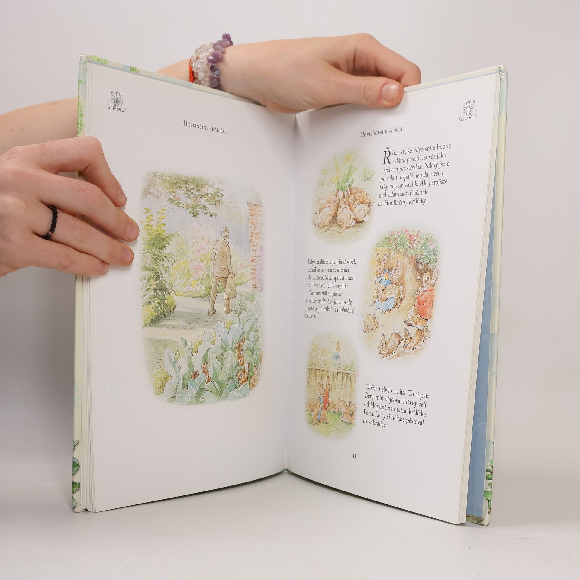 Beatrix Potter Dobrodružství králíčka Petra