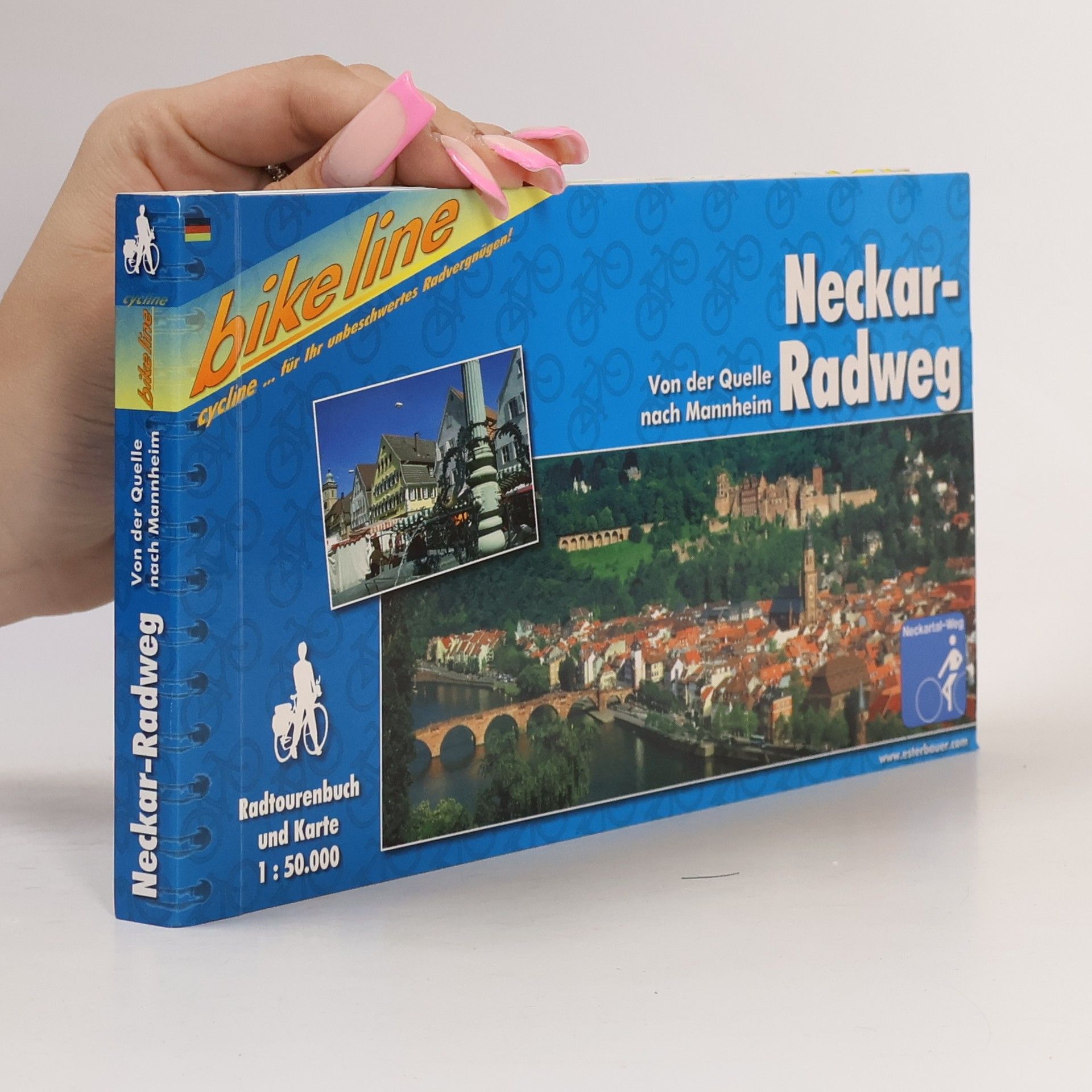 Kolektiv autorů Neckar-Radweg