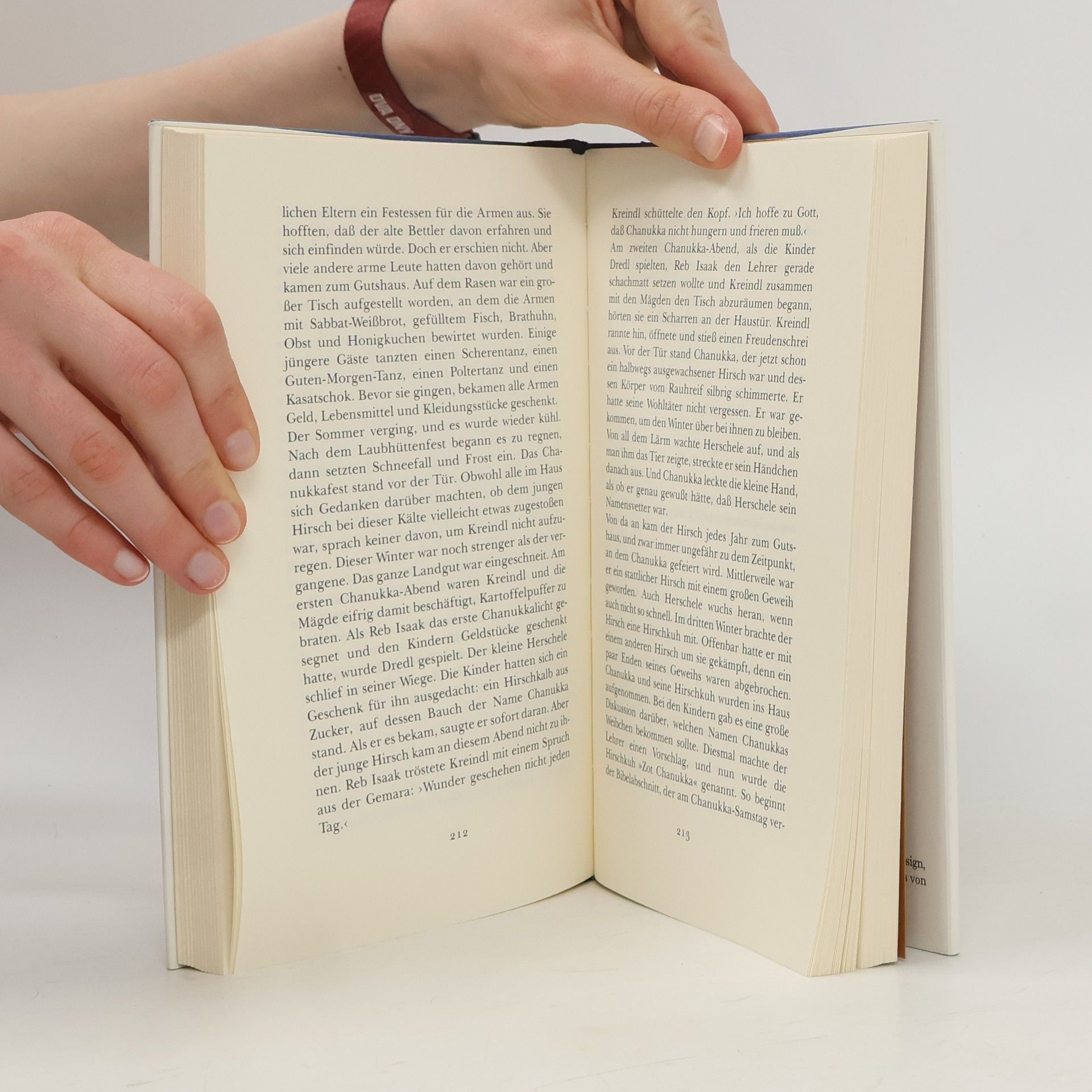 Isaac Bashevis Singer Massel & Schlamassel und andere Kindergeschichten