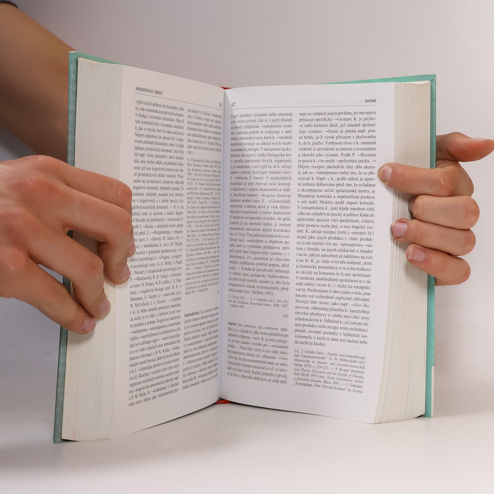 Jiří Holý Lexikon teorie literatury a kultury: koncepce - osobnosti - základní pojmy