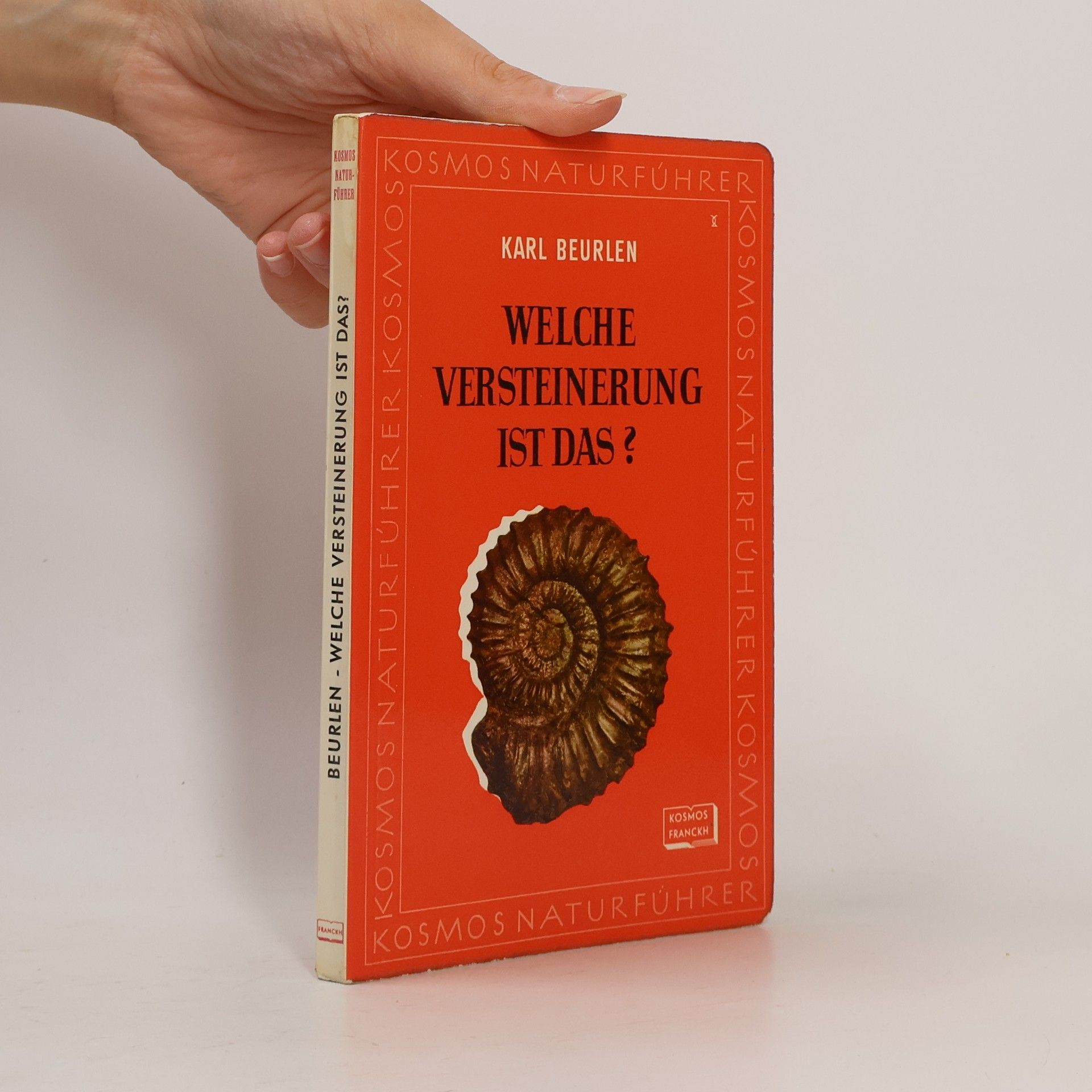 Karl Beurlen Welche Versteinerung ist das?