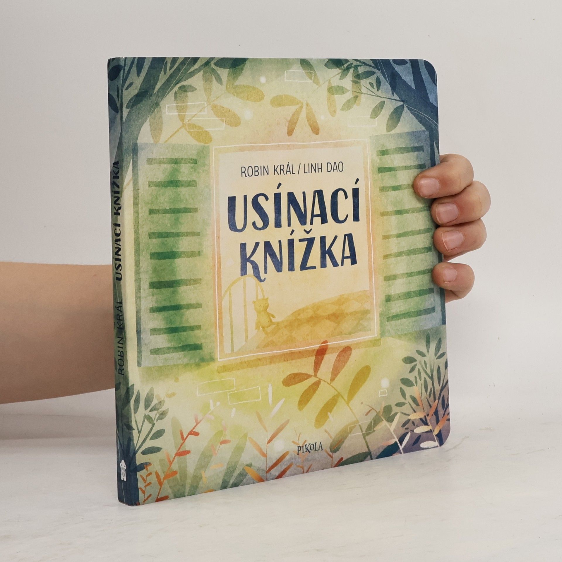 Linh Dao Usínací knížka