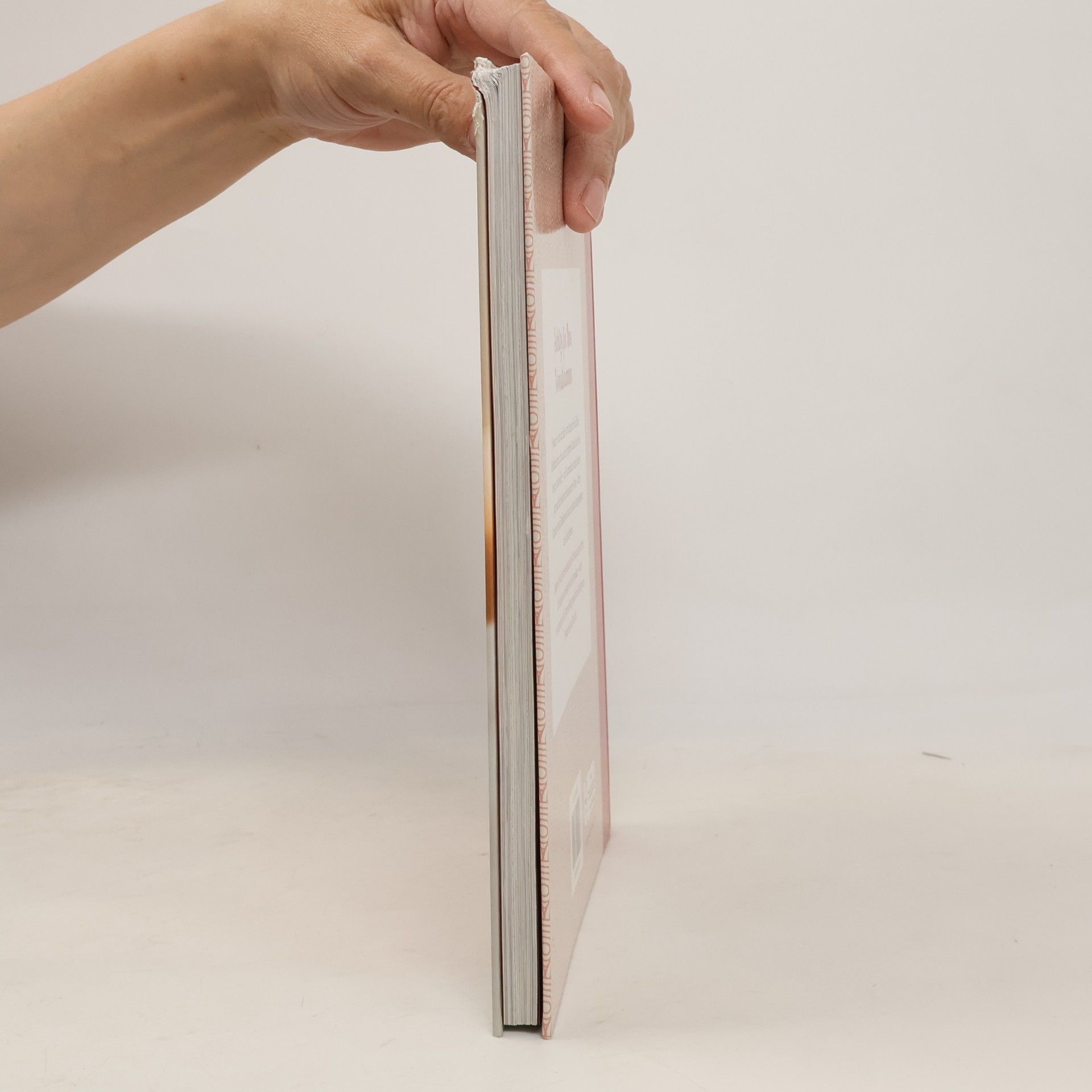 Autores varios Einmachen