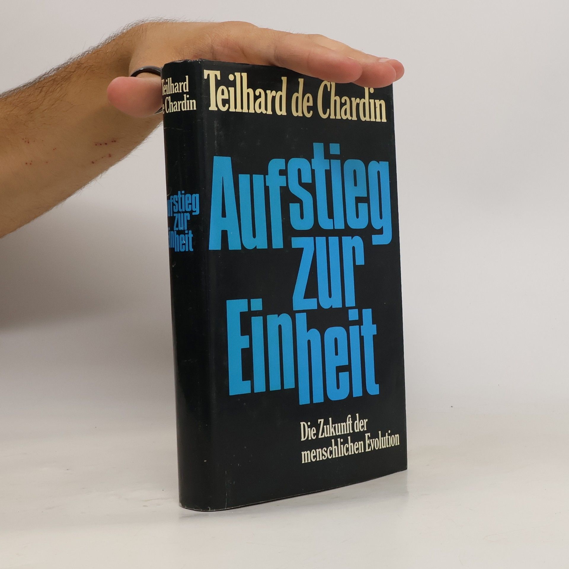 Aufstieg zur Einheit