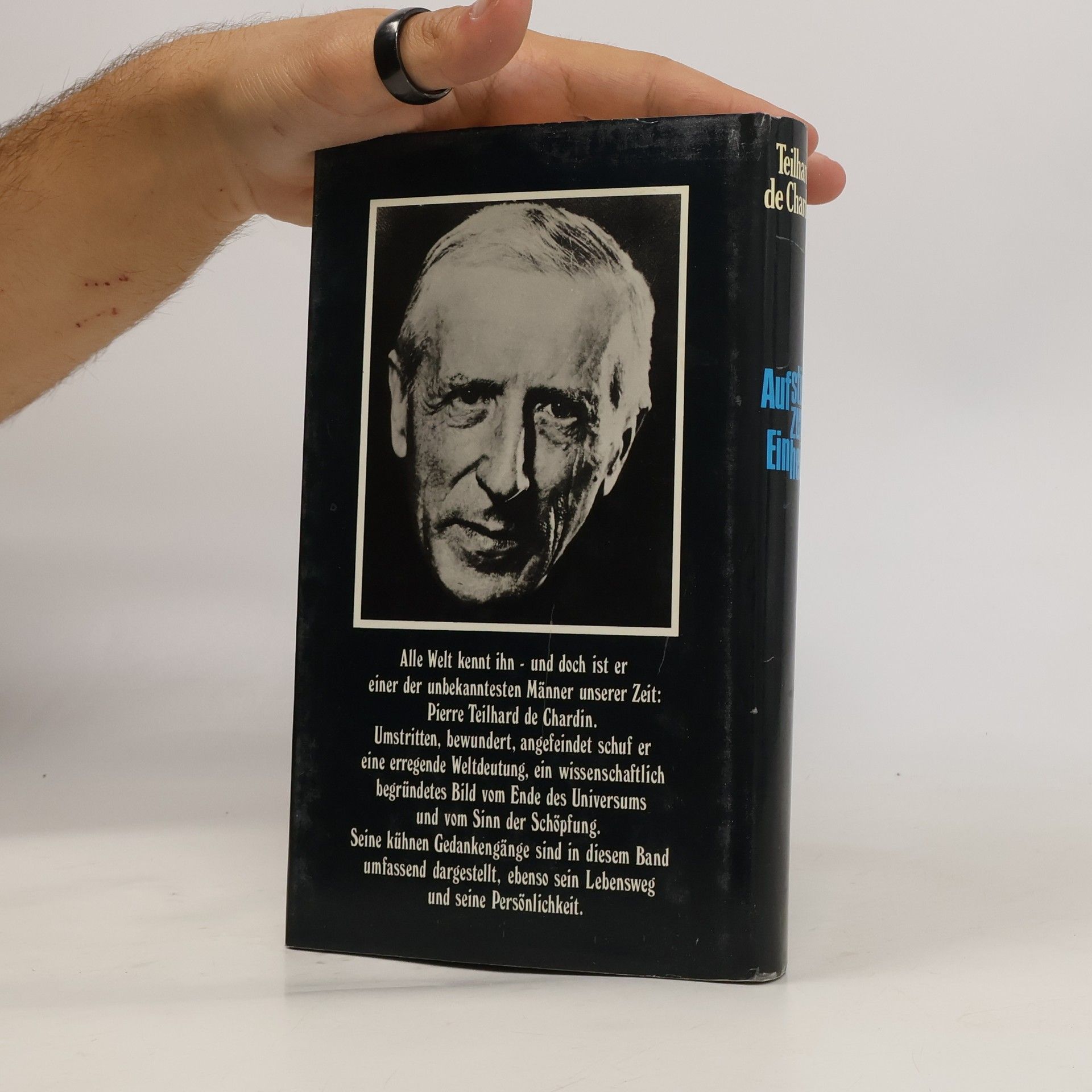 Teilhard de Chardin Aufstieg zur Einheit