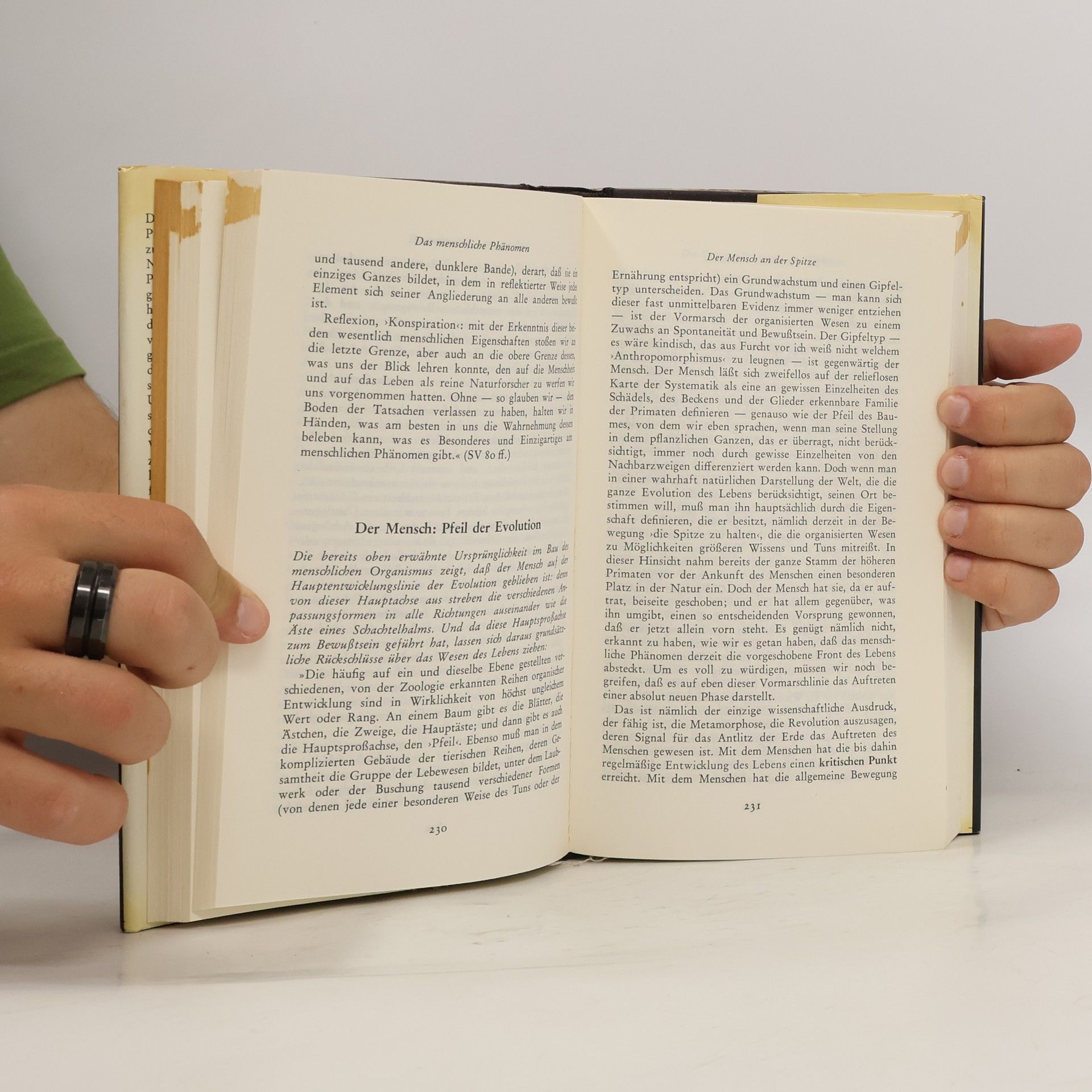 Teilhard de Chardin Aufstieg zur Einheit