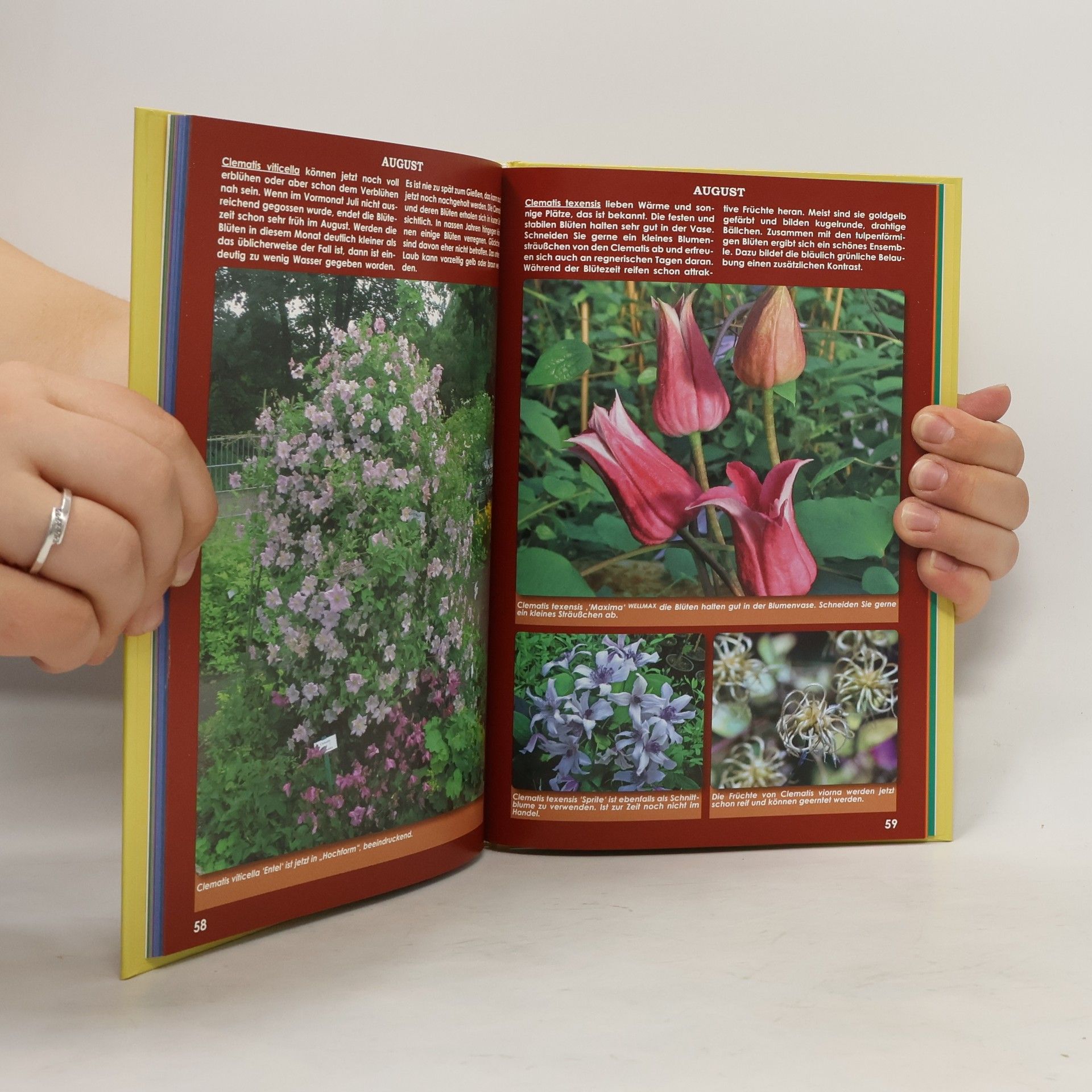 Friedrich Manfred Westphal Das Clematis Jahrbuch