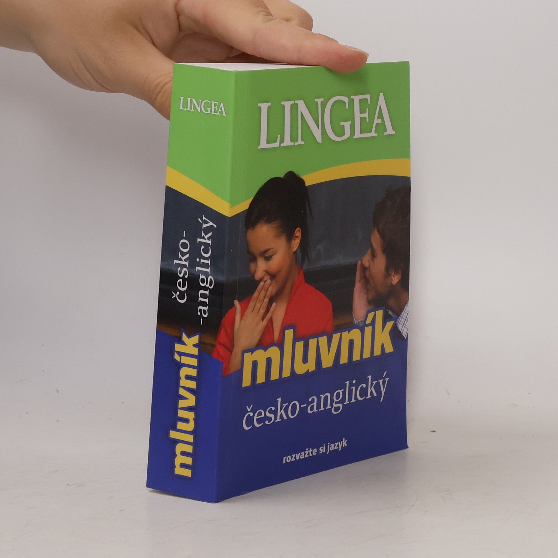 Autorenkollektiv Mluvník česko-anglický