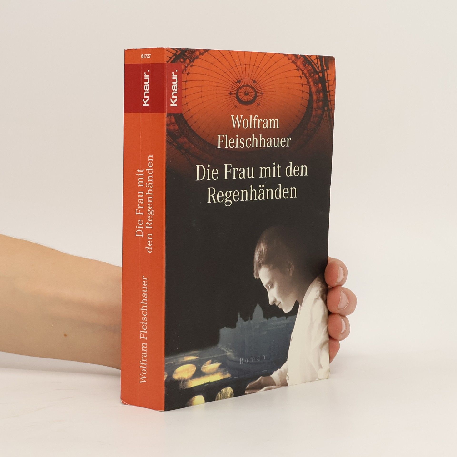 Wolfram Fleischhauer Die Frau mit den Regenhänden