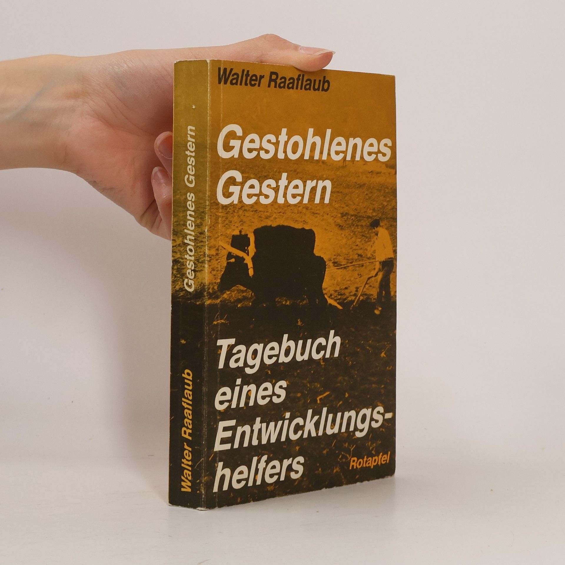 Walter Raaflaub Gestohlenes Gestern