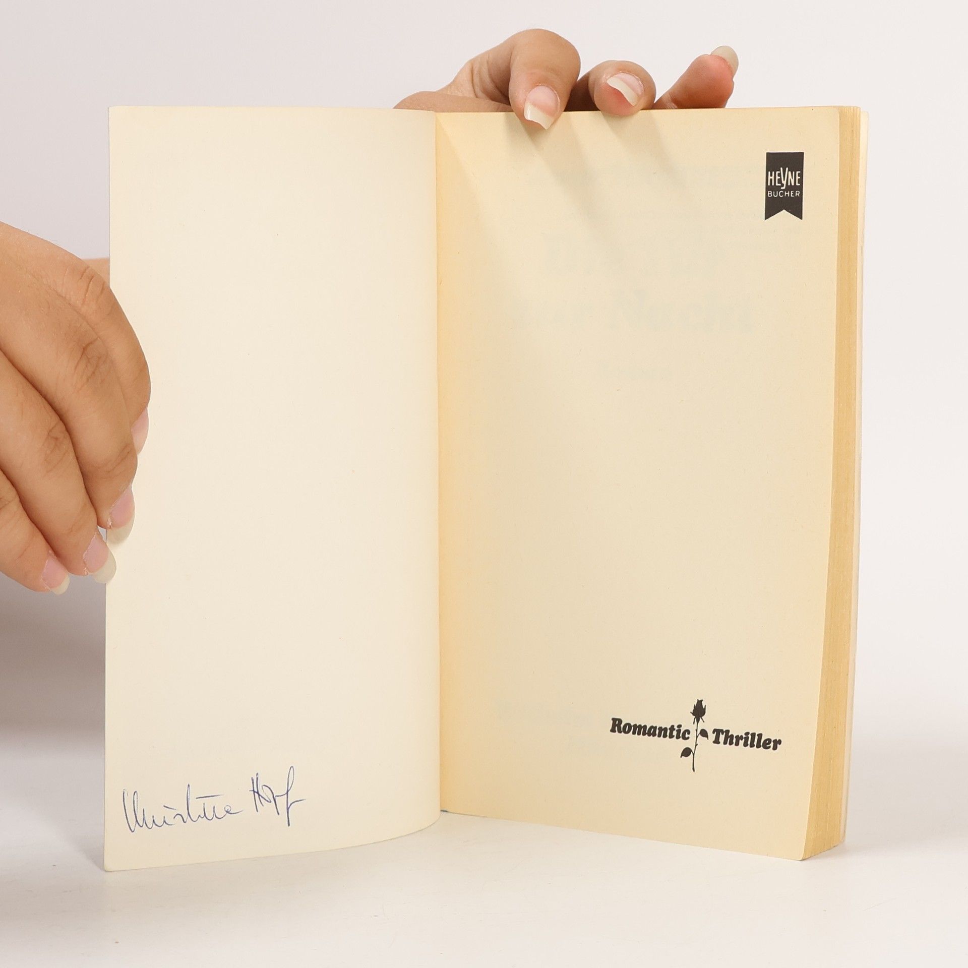 Anne Maybury Die Tür zur Nacht