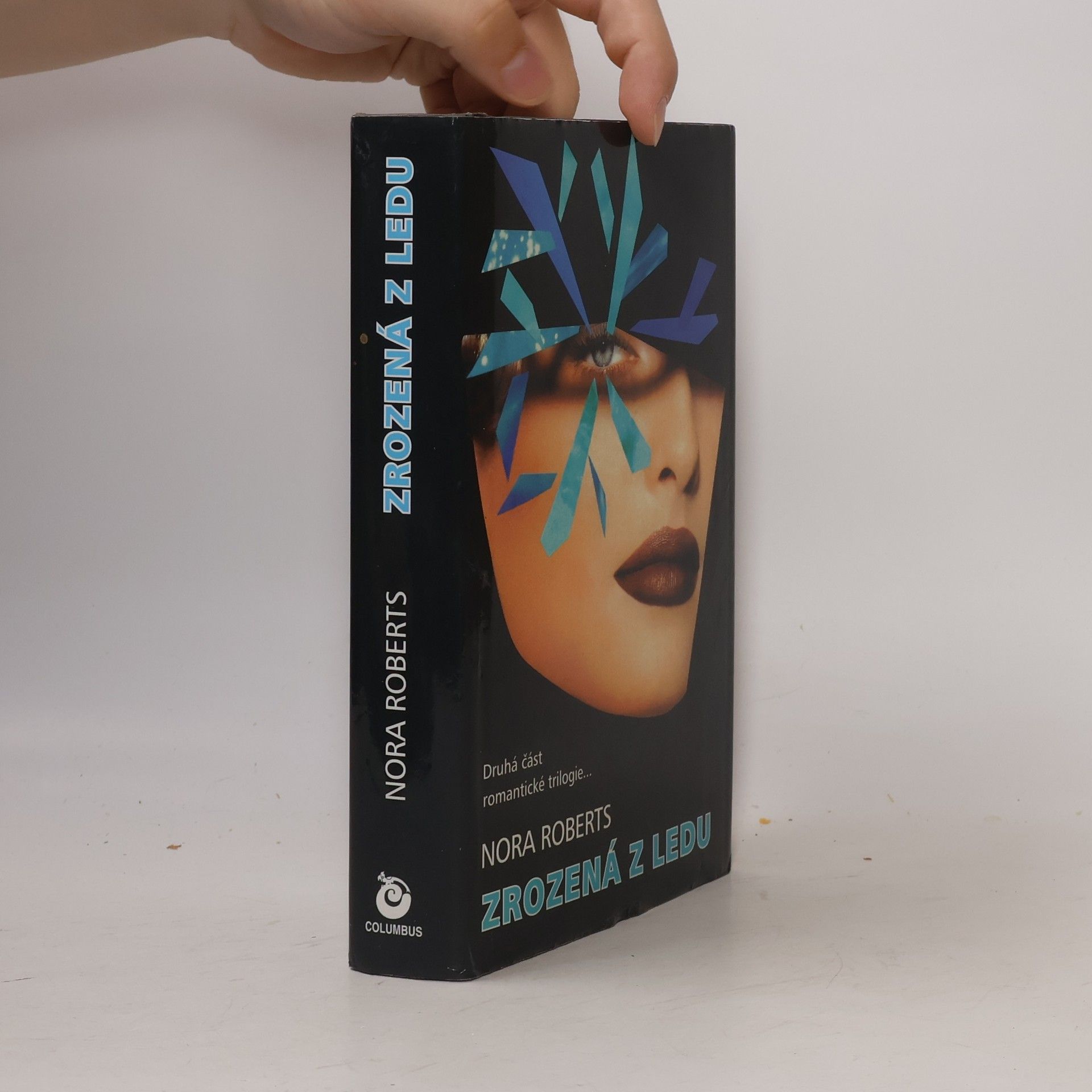 Nora Roberts Zrozená z ledu