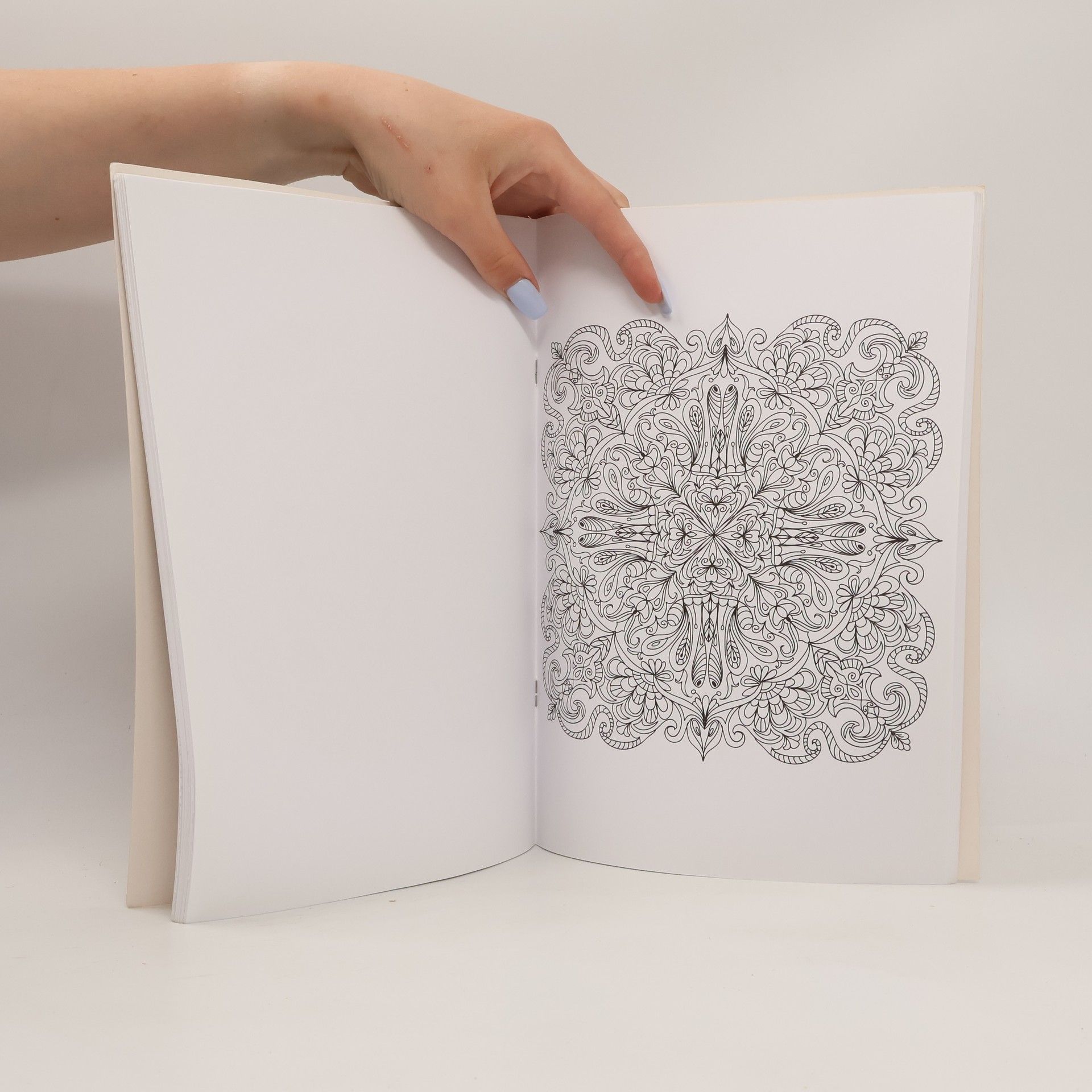 Autorenkollektiv Mandalas - Malbuch für Erwachsene