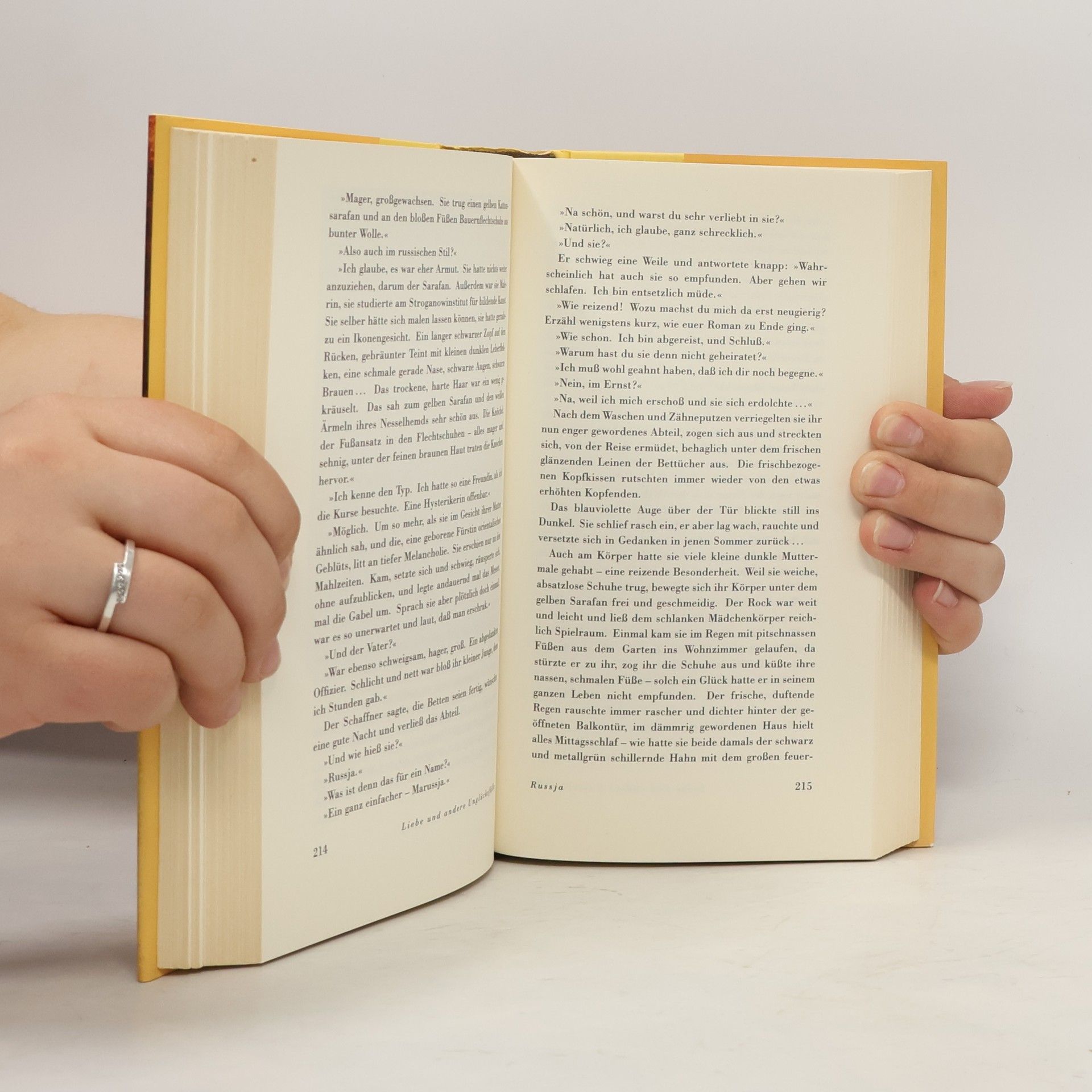 Ivan Bunin Liebe und andere Unglücksfälle, Erfolgsausgabe. Novellen