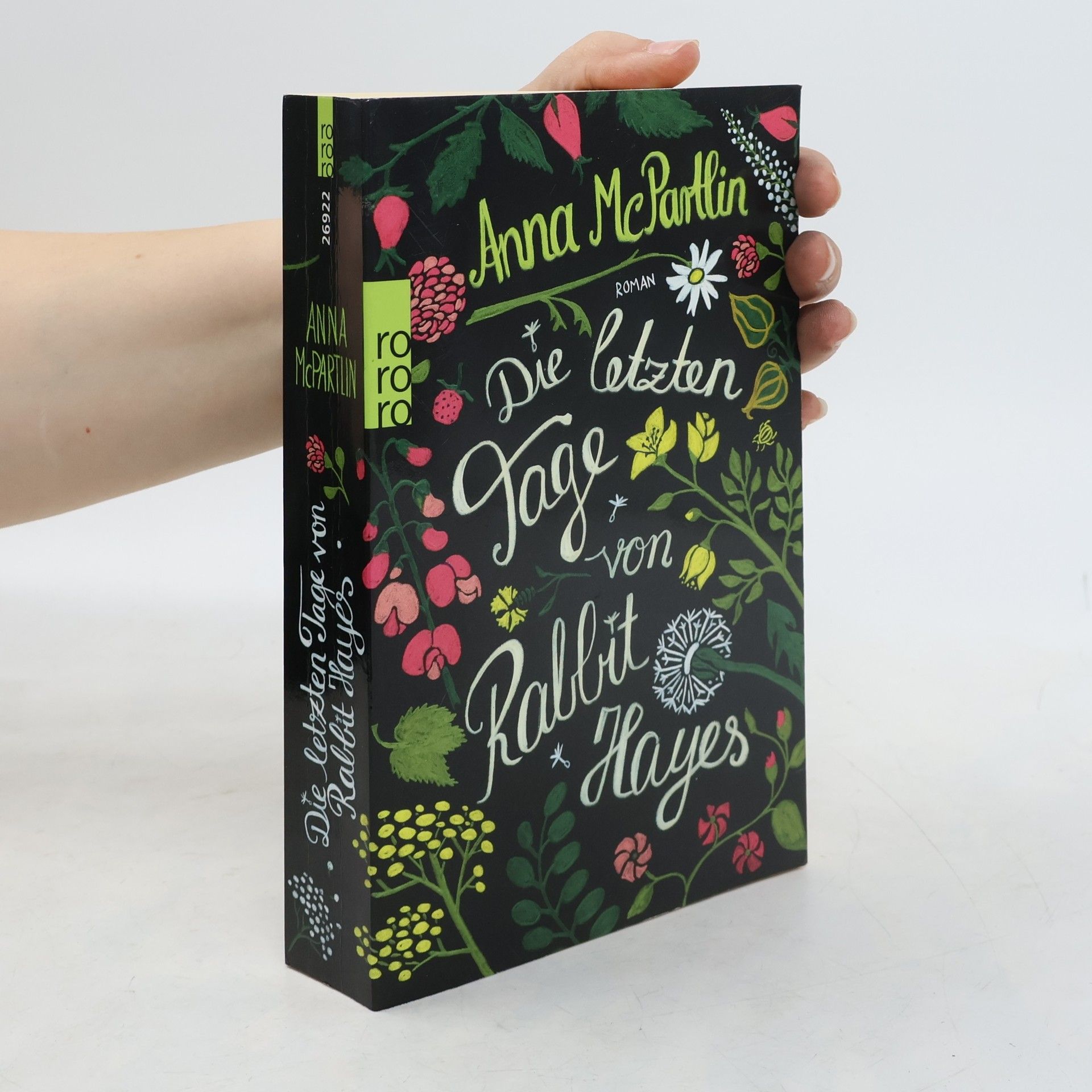Anna Mc Partlin Die letzten Tage von Rabbit Hayes