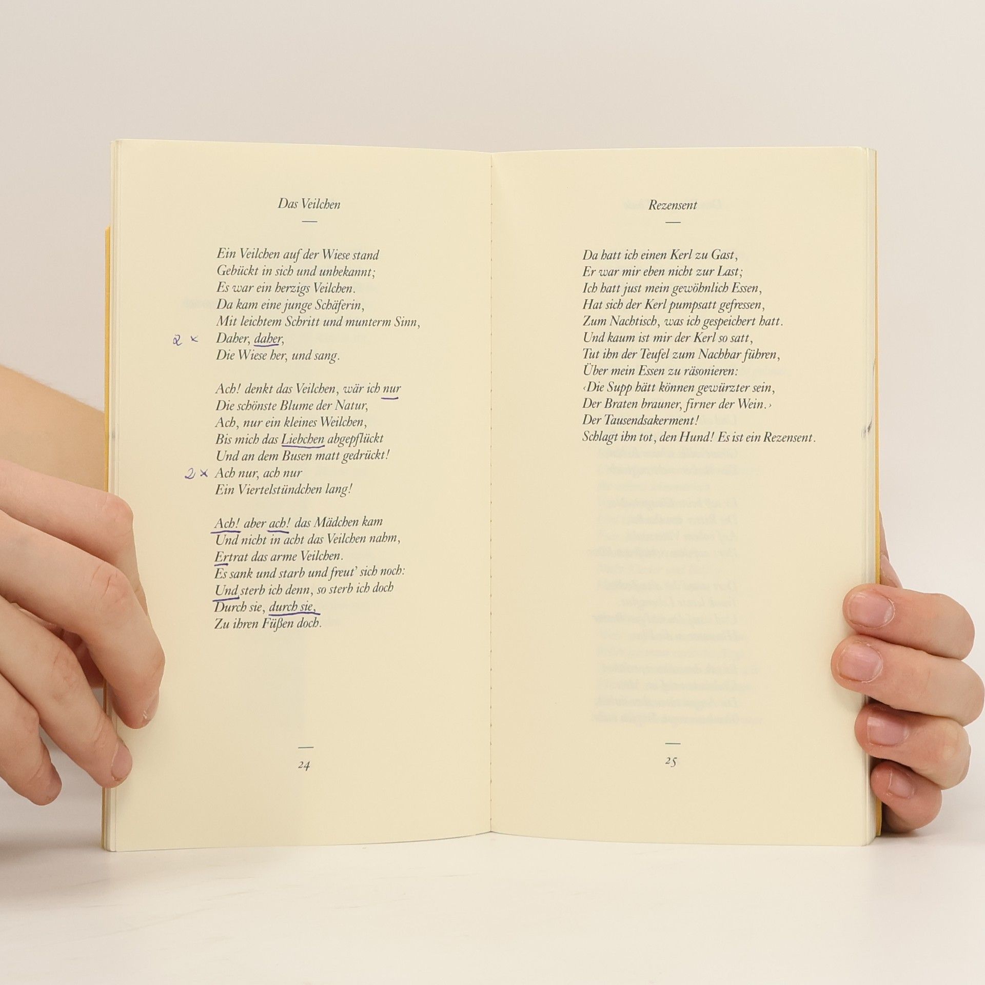Johann Wolfgang von Goethe Herz, mein Herz, was soll das geben? Goethes schönste Gedichte