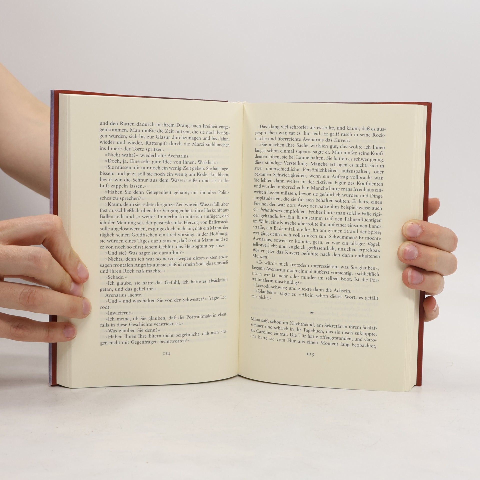 Susanne Fengler Die Portraitmalerin. Roman