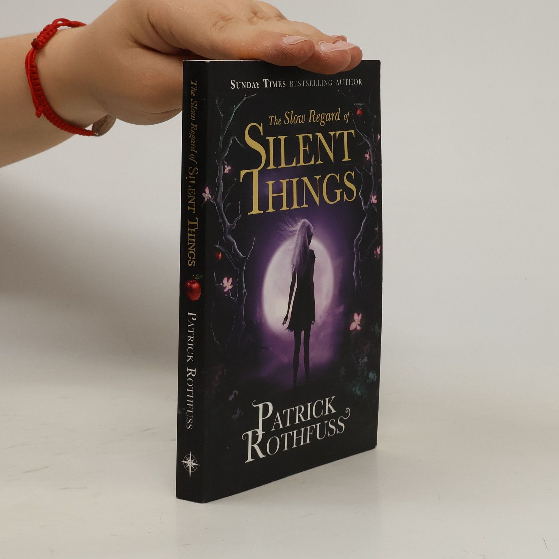 Patrick Rothfuss The Slow Regard of Silent Things
